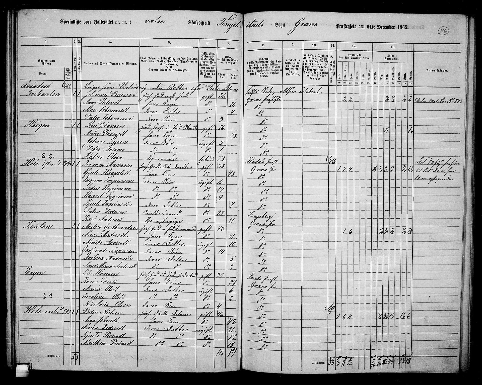 RA, 1865 census for Gran, 1865, p. 298