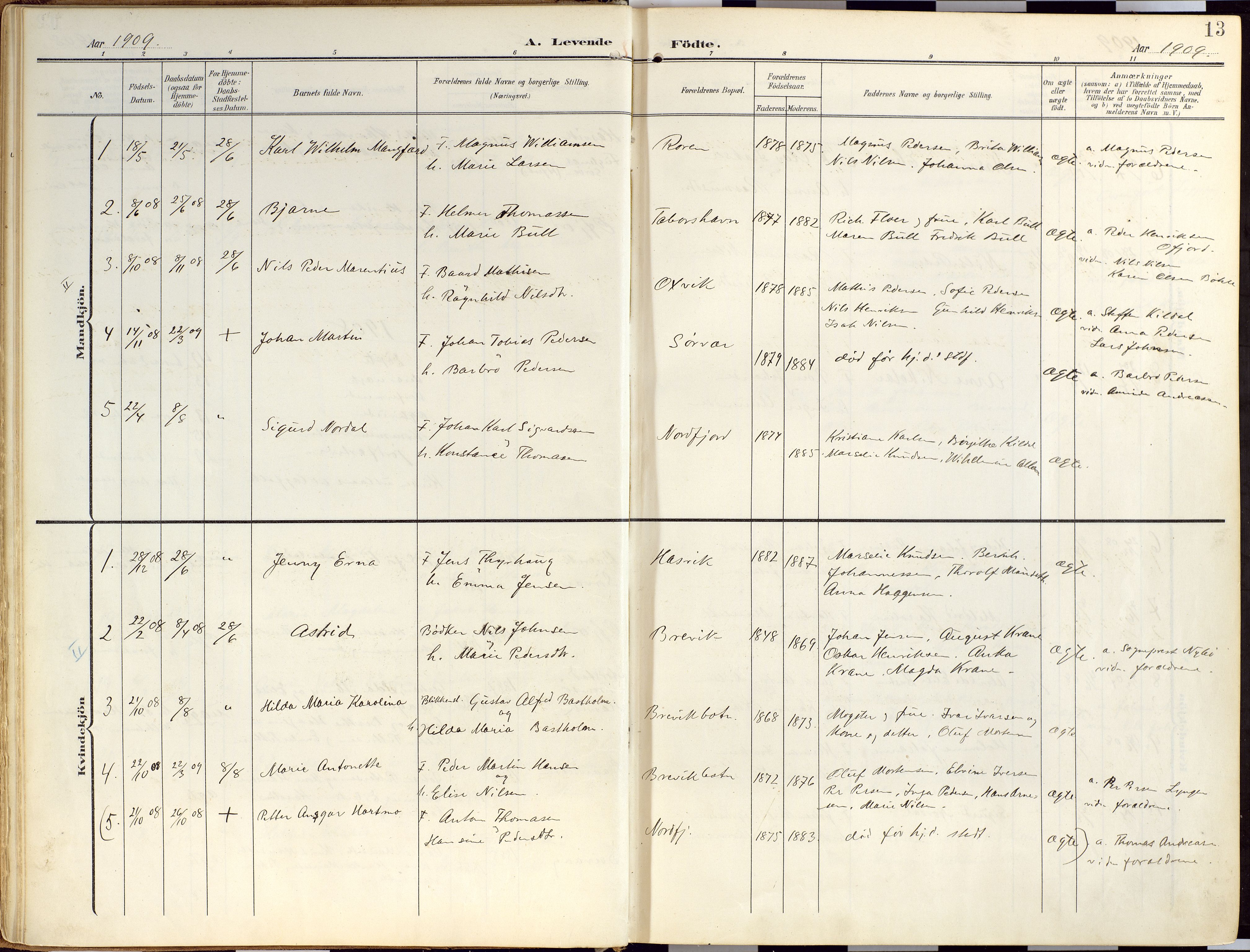 Loppa sokneprestkontor, SATØ/S-1339/H/Ha/L0010kirke: Parish register (official) no. 10, 1907-1922, p. 13