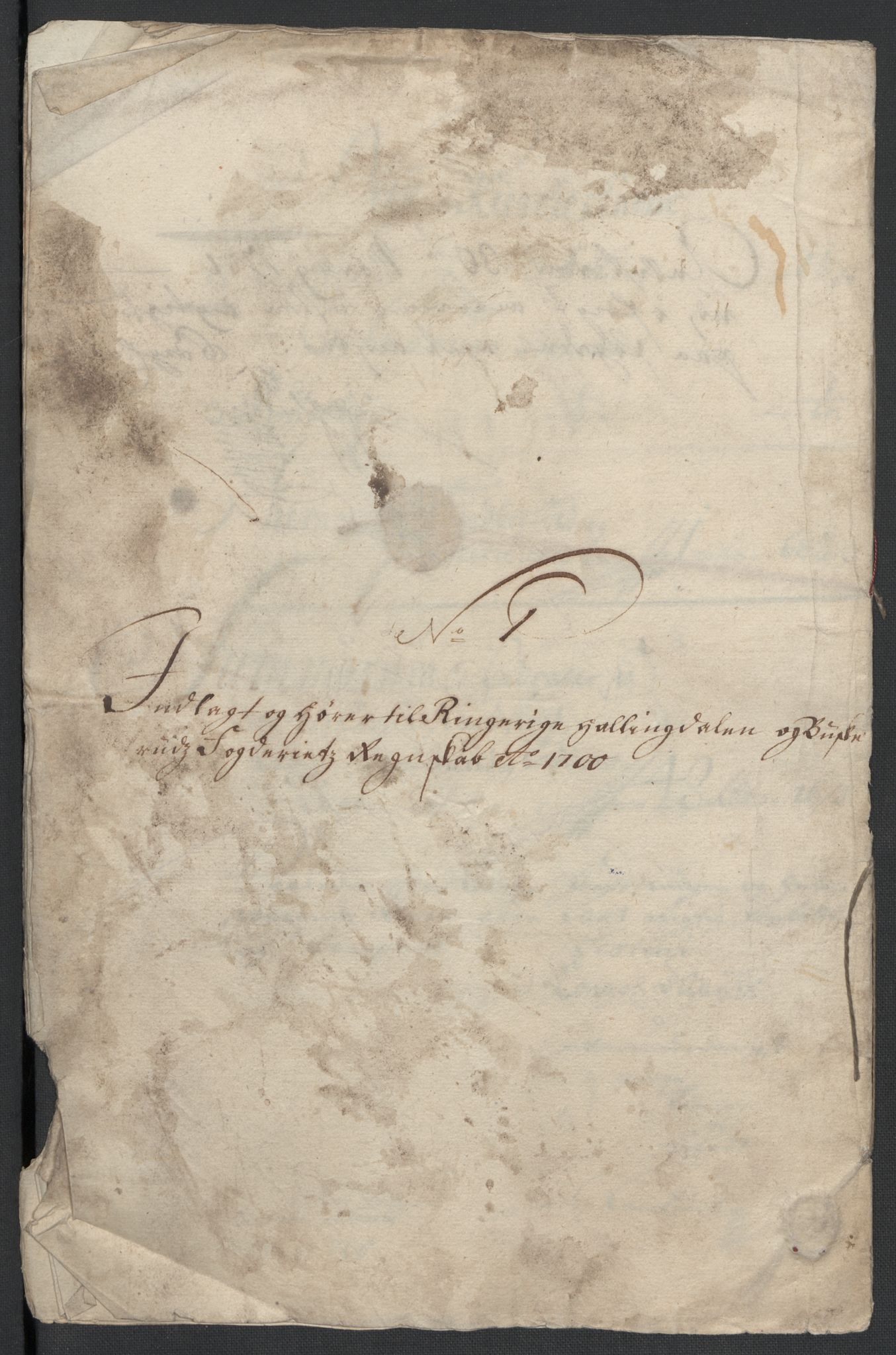 Rentekammeret inntil 1814, Reviderte regnskaper, Fogderegnskap, AV/RA-EA-4092/R22/L1457: Fogderegnskap Ringerike, Hallingdal og Buskerud, 1700, p. 58