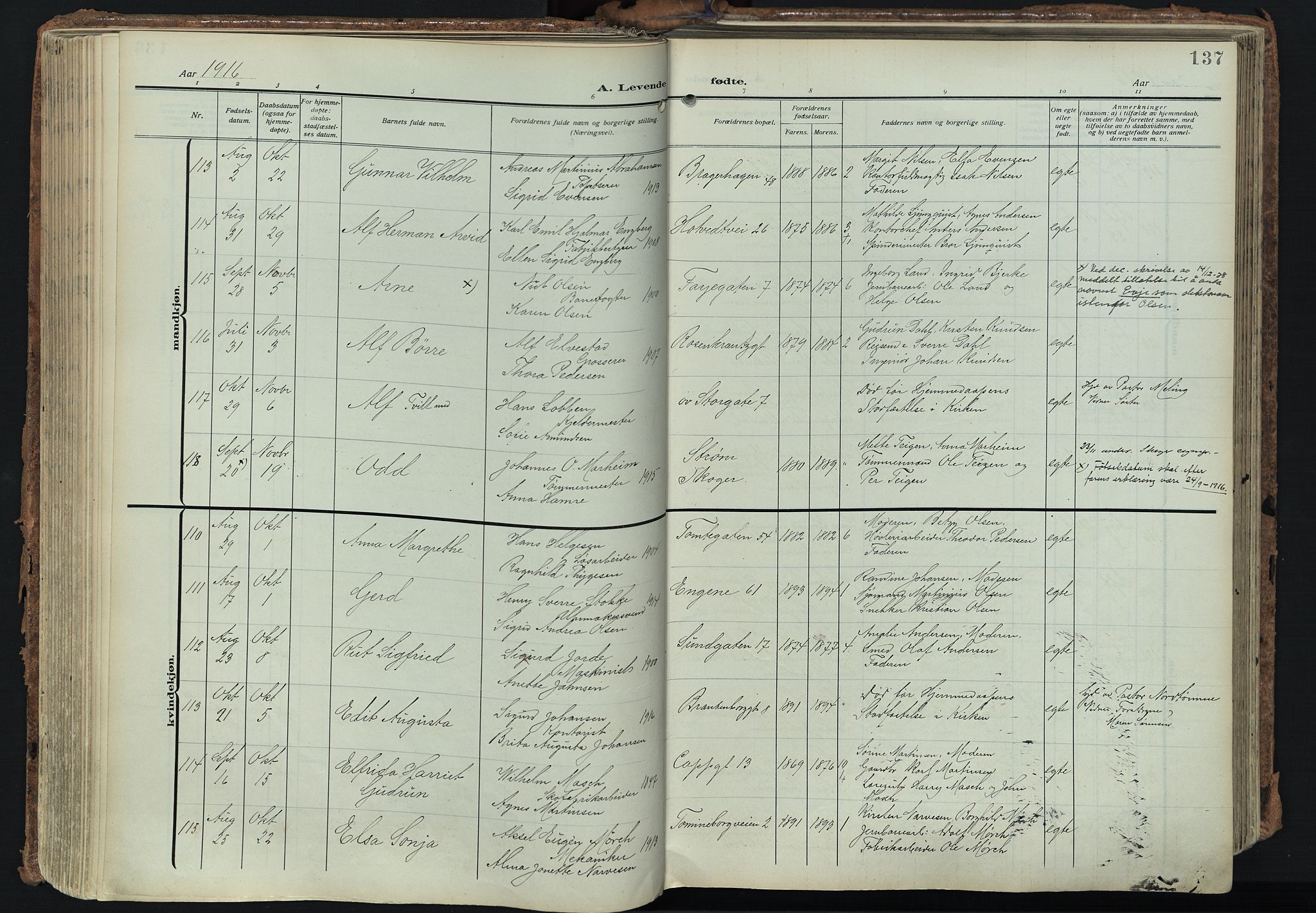Bragernes kirkebøker, SAKO/A-6/F/Fb/L0010: Parish register (official) no. II 10, 1911-1922, p. 137