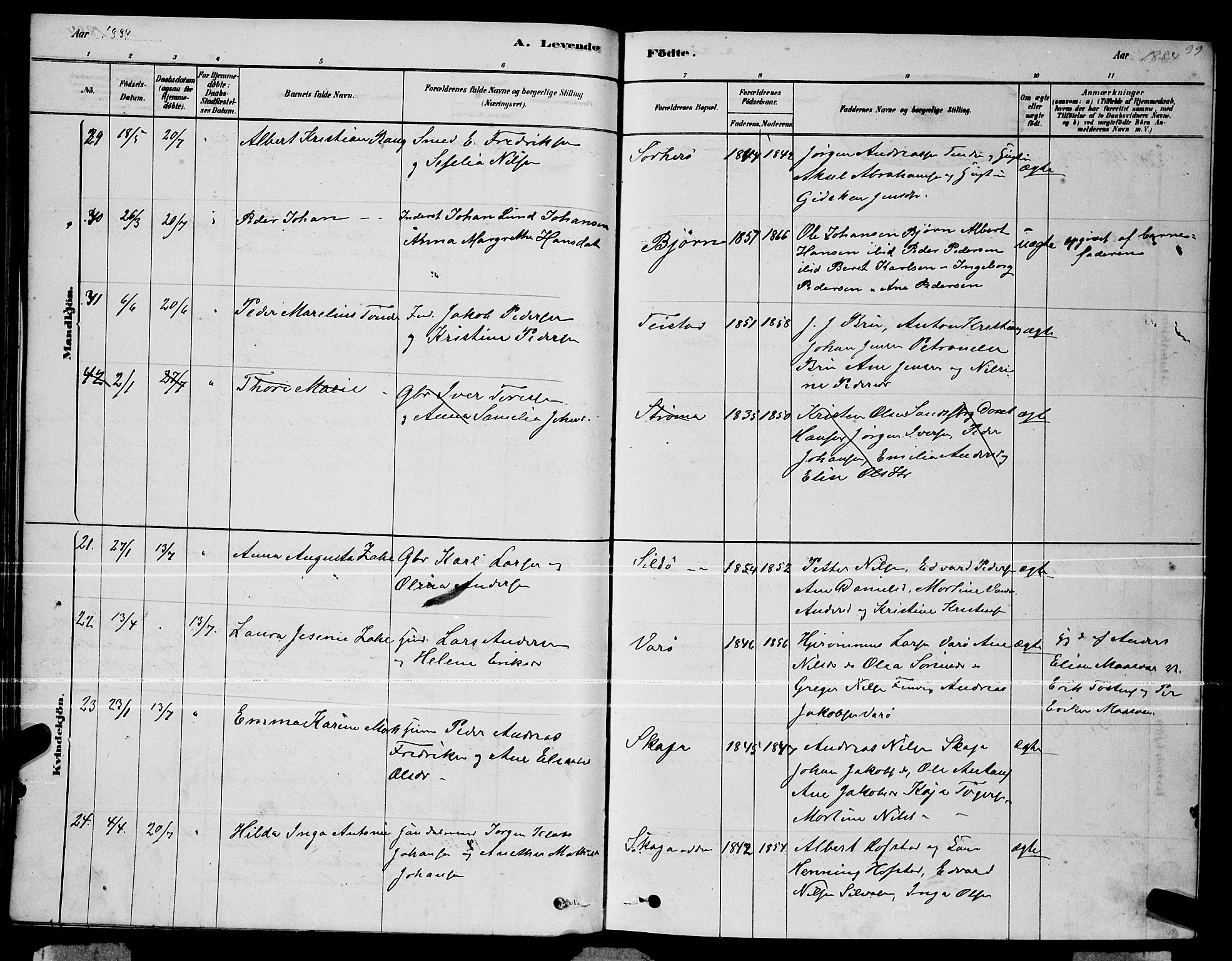 Ministerialprotokoller, klokkerbøker og fødselsregistre - Nordland, AV/SAT-A-1459/834/L0513: Parish register (copy) no. 834C04, 1877-1892, p. 99