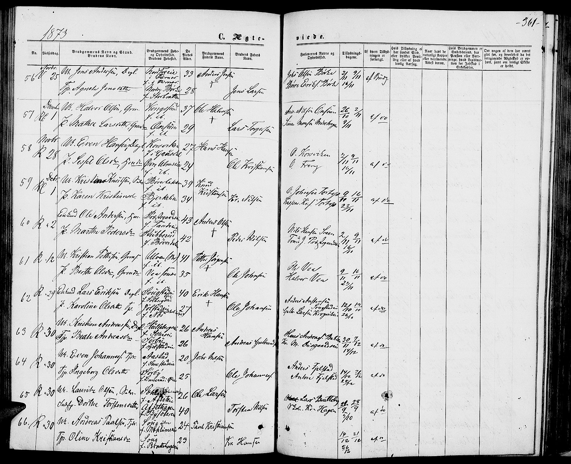 Ringsaker prestekontor, AV/SAH-PREST-014/L/La/L0008: Parish register (copy) no. 8, 1870-1878, p. 361