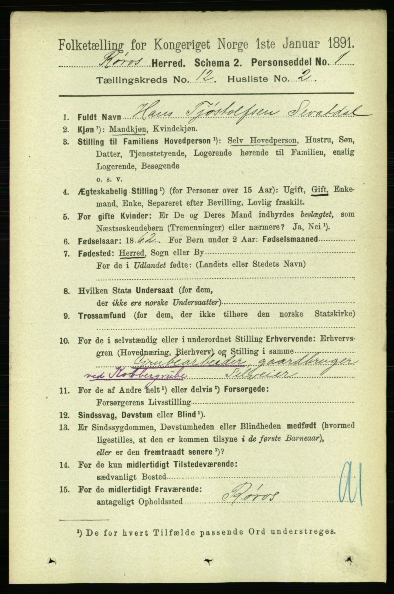 RA, 1891 census for 1640 Røros, 1891, p. 2376