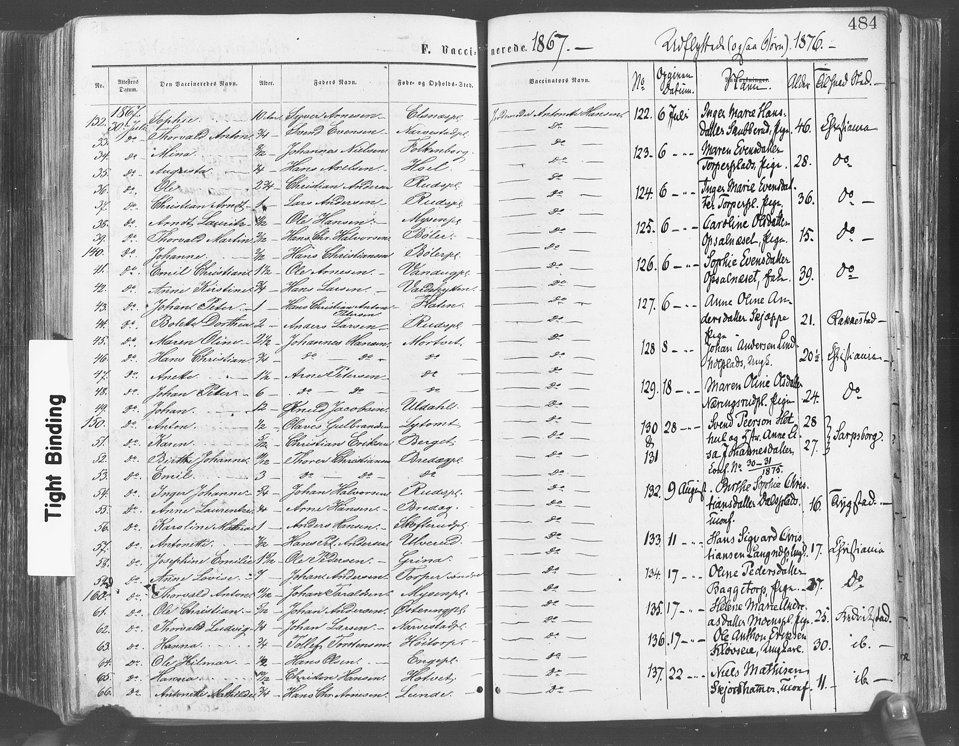 Eidsberg prestekontor Kirkebøker, SAO/A-10905/F/Fa/L0011: Parish register (official) no. I 11, 1867-1878, p. 484