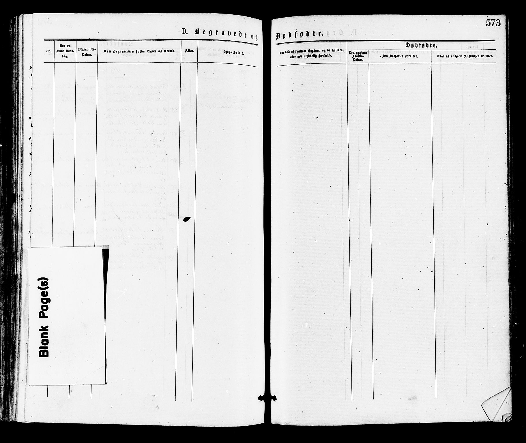 Norderhov kirkebøker, AV/SAKO-A-237/F/Fa/L0015: Parish register (official) no. 15, 1875-1884, p. 573