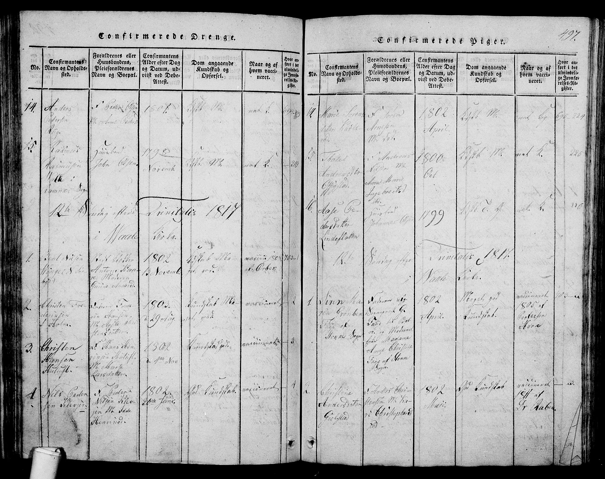 Våle kirkebøker, AV/SAKO-A-334/G/Ga/L0001: Parish register (copy) no. I 1, 1814-1824, p. 496-497