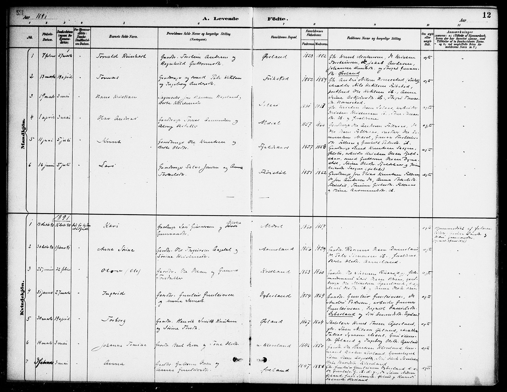 Bjelland sokneprestkontor, SAK/1111-0005/F/Fa/Fab/L0004: Parish register (official) no. A 4, 1887-1920, p. 12