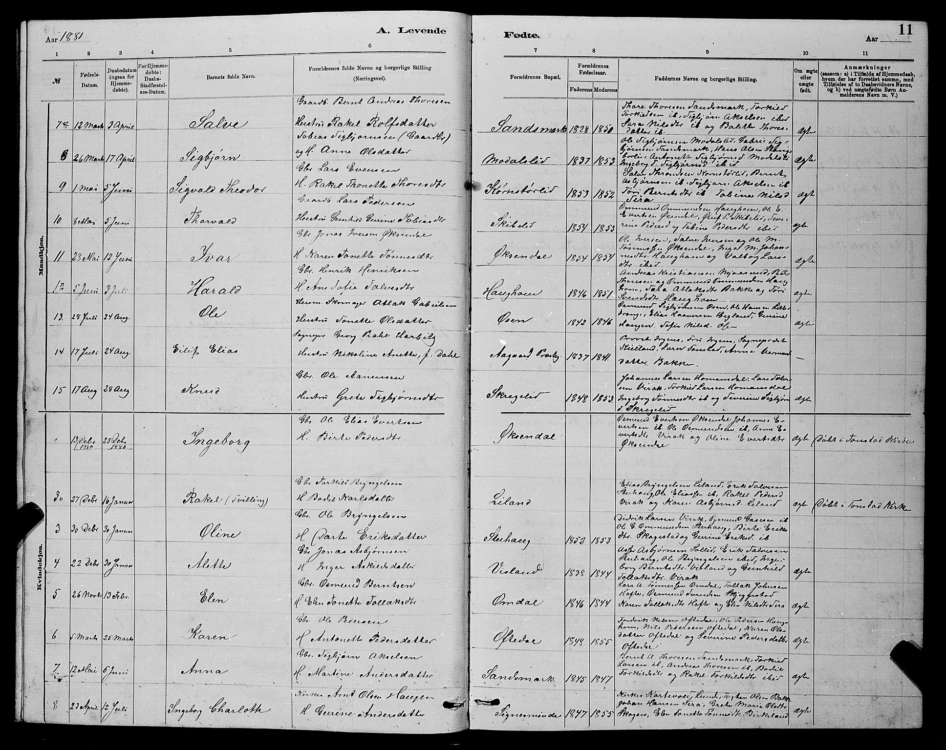 Bakke sokneprestkontor, SAK/1111-0002/F/Fb/Fba/L0002: Parish register (copy) no. B 2, 1879-1893, p. 11
