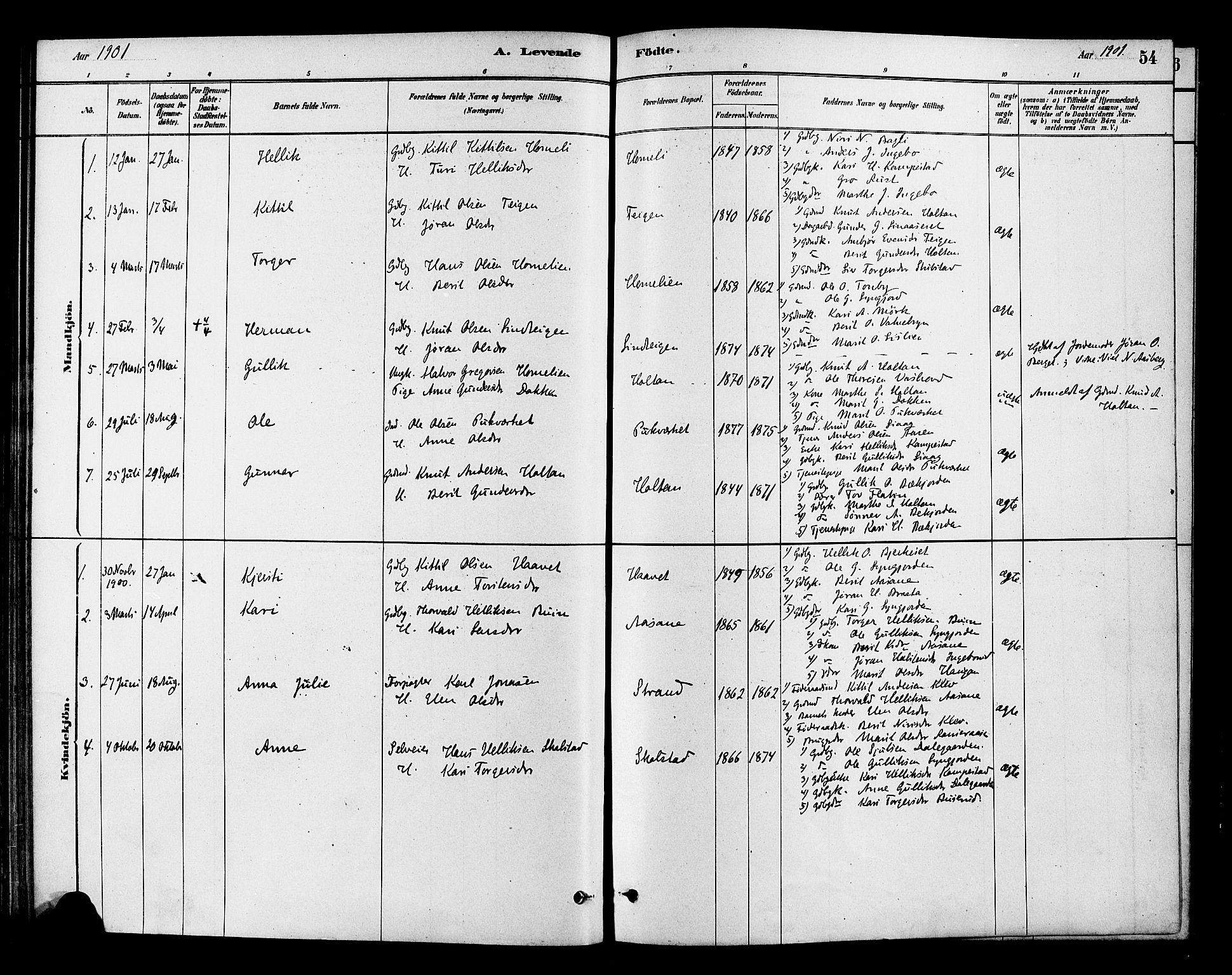 Flesberg kirkebøker, SAKO/A-18/F/Fc/L0001: Parish register (official) no. III 1, 1879-1905, p. 54