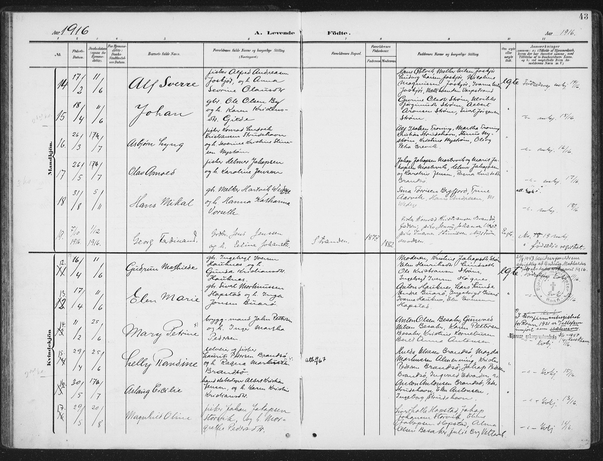 Ministerialprotokoller, klokkerbøker og fødselsregistre - Sør-Trøndelag, SAT/A-1456/657/L0709: Parish register (official) no. 657A10, 1905-1919, p. 43