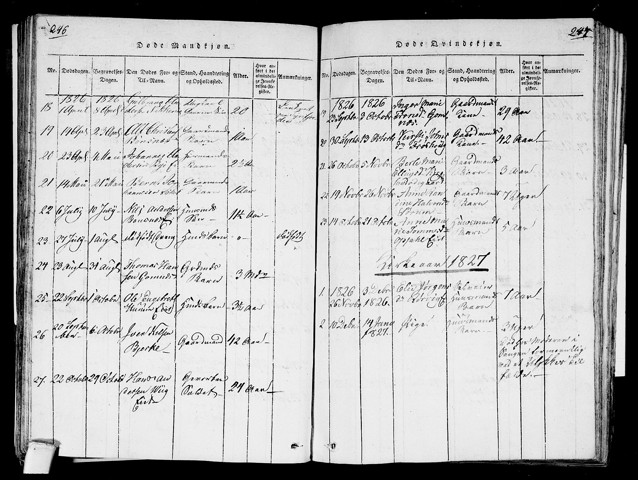 Hole kirkebøker, SAKO/A-228/F/Fa/L0004: Parish register (official) no. I 4, 1814-1833, p. 246-247