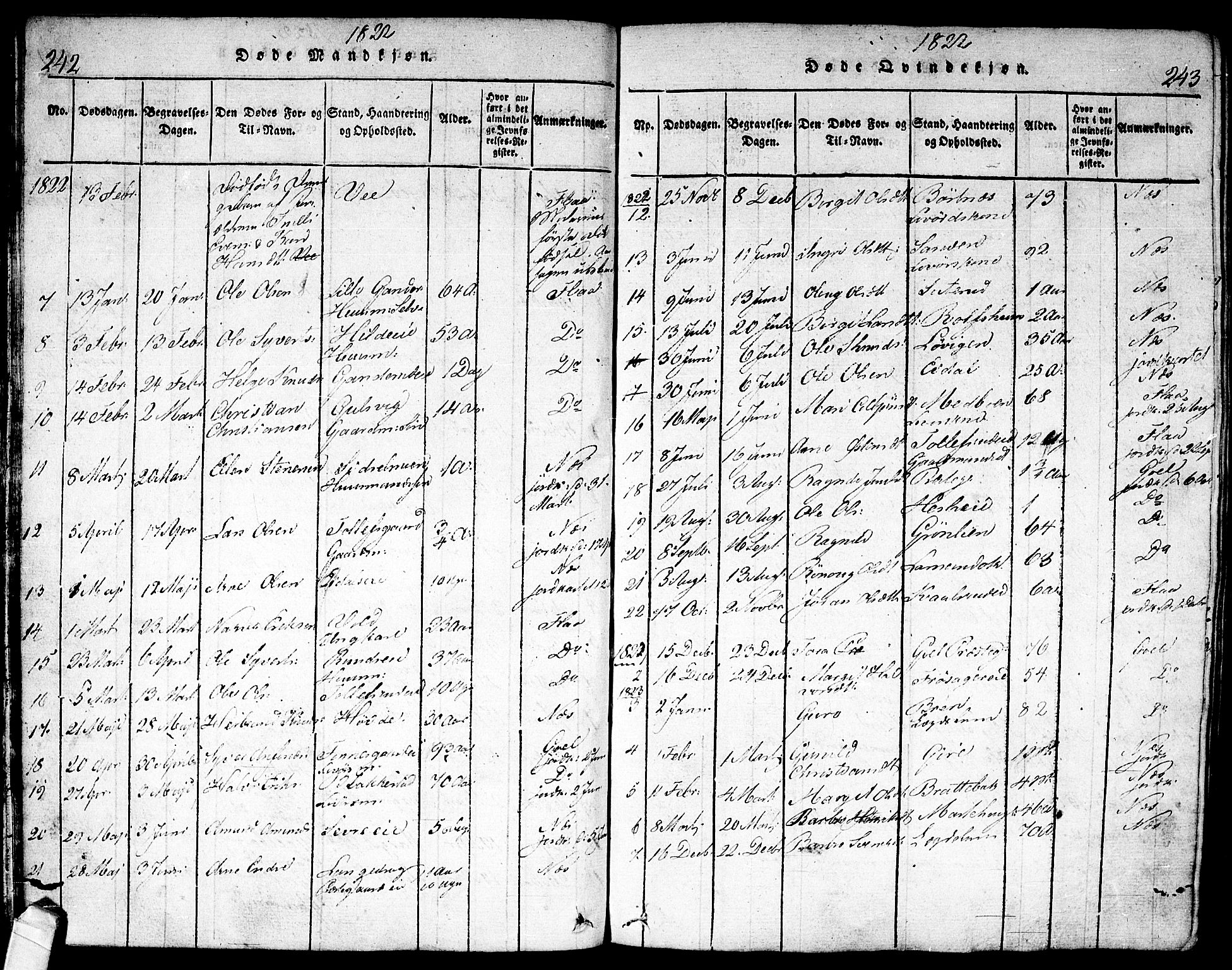 Nes kirkebøker, AV/SAKO-A-236/F/Fa/L0007: Parish register (official) no. 7, 1815-1823, p. 242-243