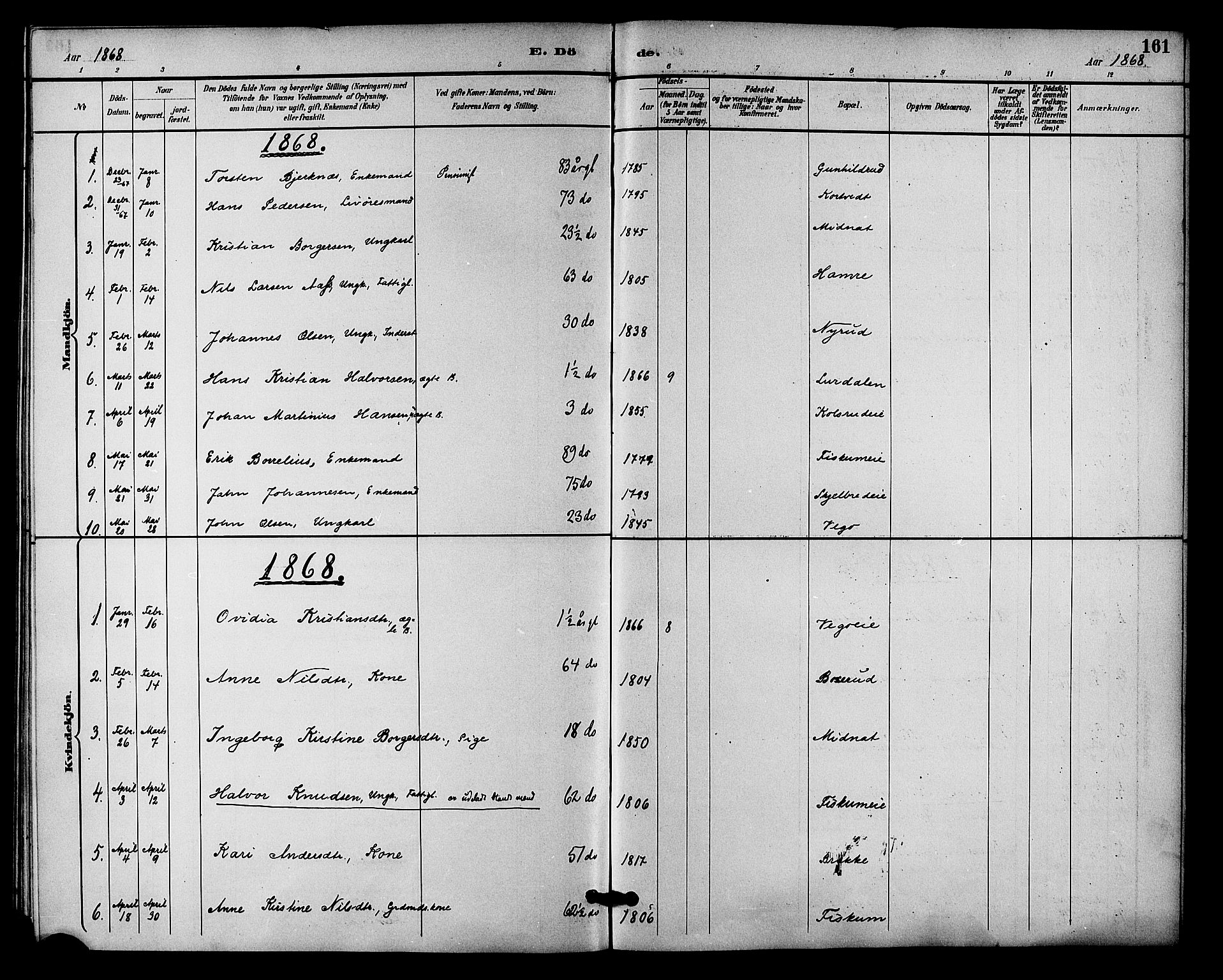 Fiskum kirkebøker, SAKO/A-15/F/Fa/L0001: Parish register (official) no. 1, 1858-1877, p. 161