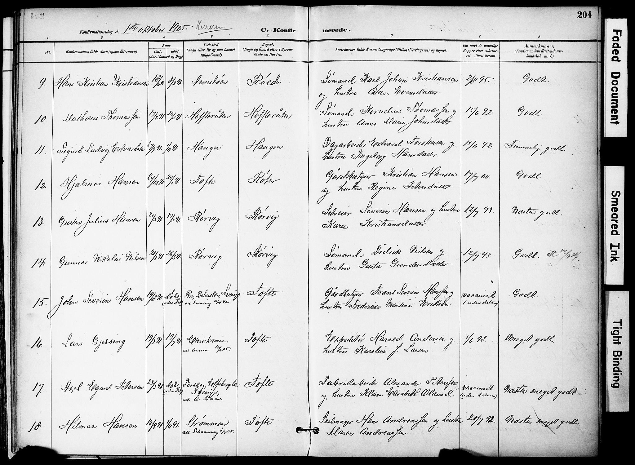 Hurum kirkebøker, AV/SAKO-A-229/F/Fa/L0015: Parish register (official) no. 15, 1896-1908, p. 204