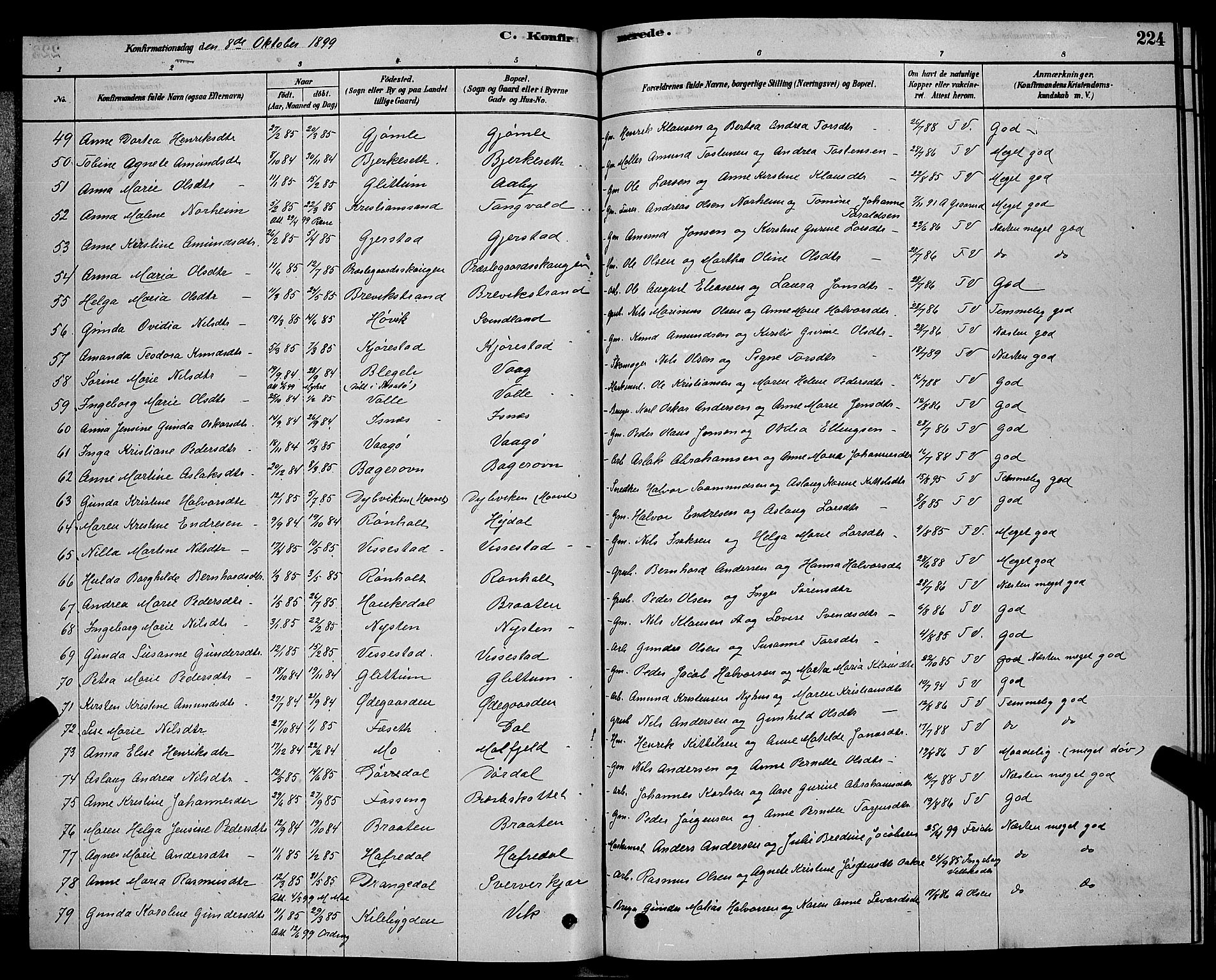 Bamble kirkebøker, SAKO/A-253/G/Ga/L0008: Parish register (copy) no. I 8, 1878-1888, p. 224
