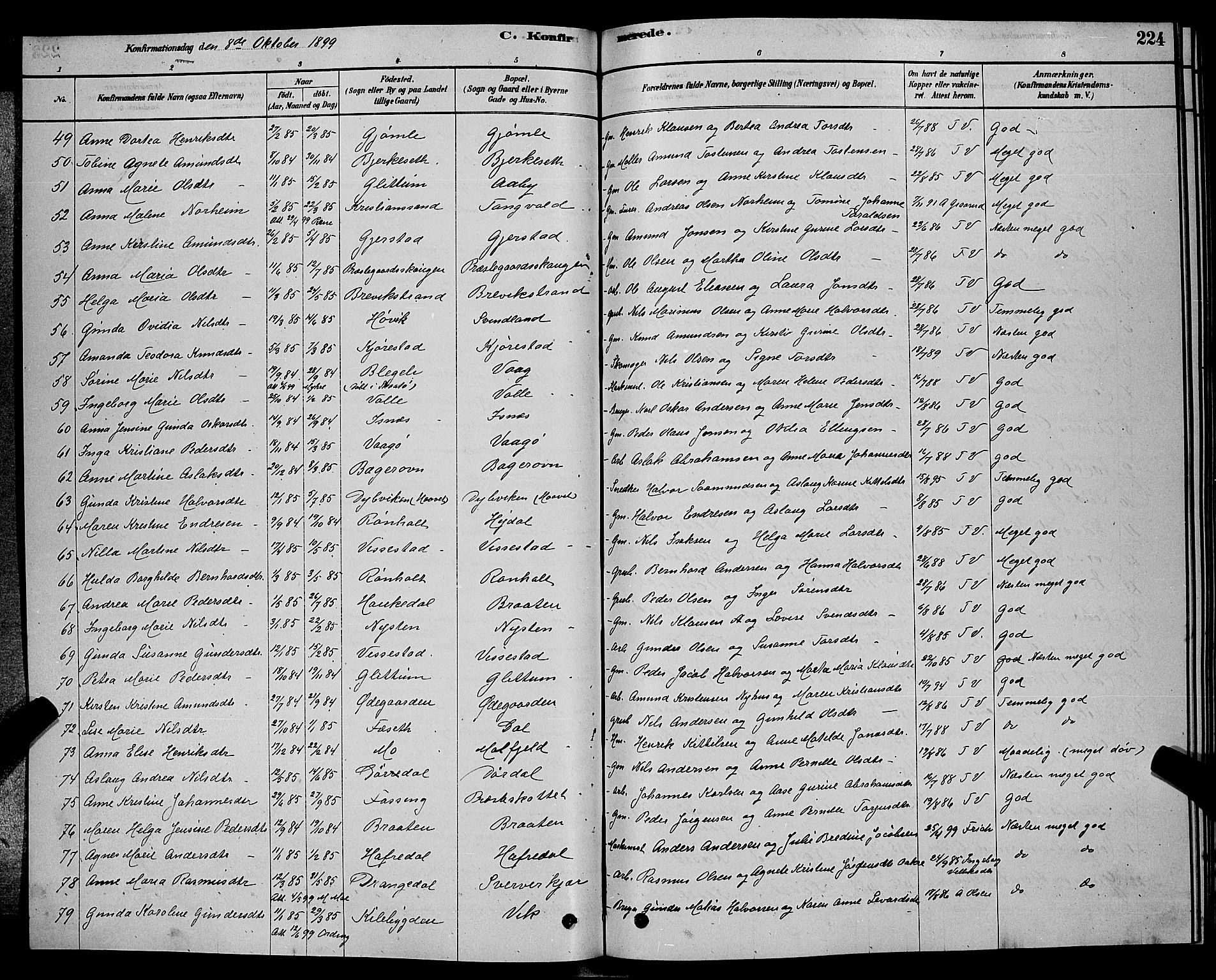 Bamble kirkebøker, AV/SAKO-A-253/G/Ga/L0008: Parish register (copy) no. I 8, 1878-1888, p. 224