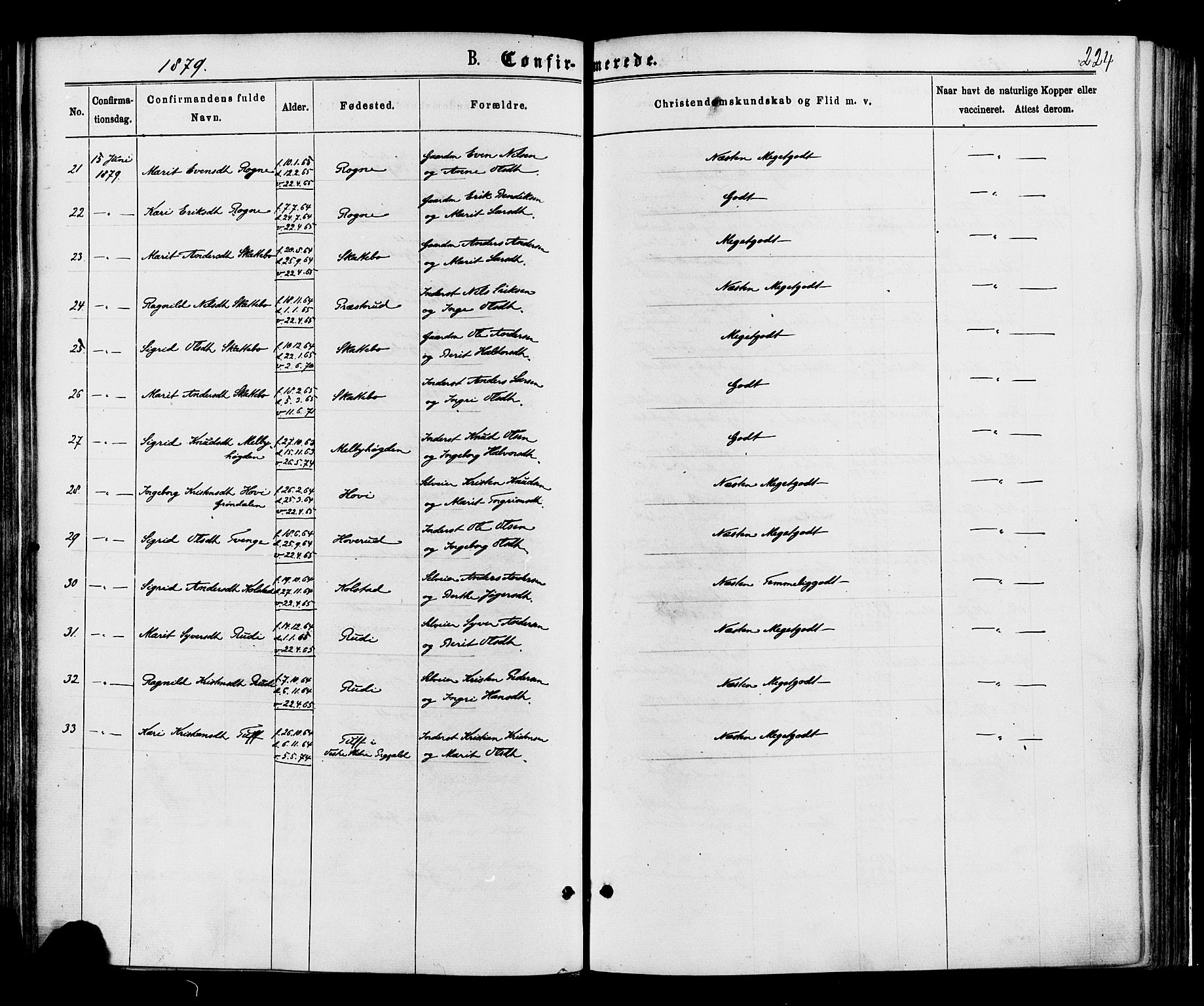 Øystre Slidre prestekontor, SAH/PREST-138/H/Ha/Haa/L0002: Parish register (official) no. 2, 1874-1886, p. 224