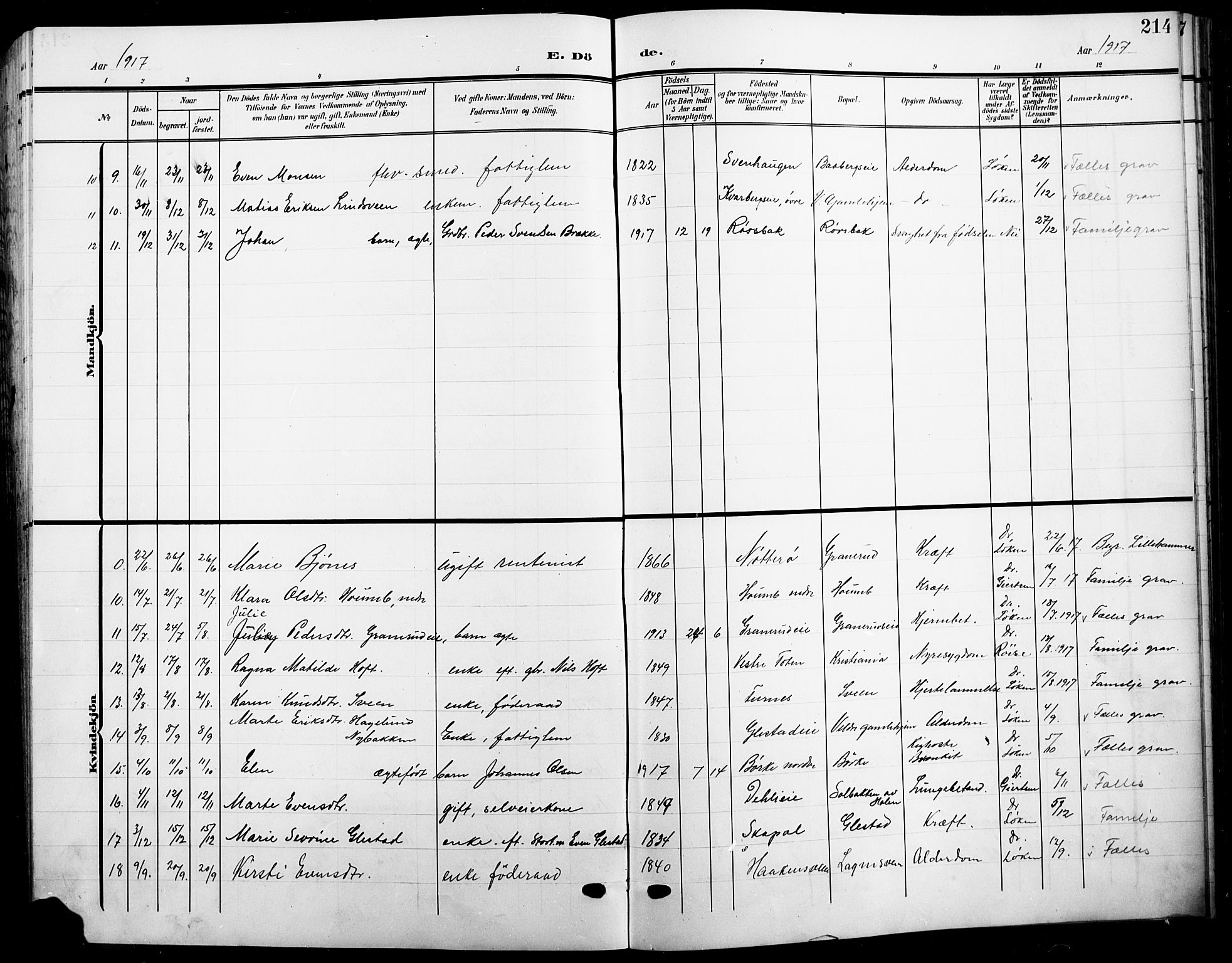 Ringsaker prestekontor, AV/SAH-PREST-014/L/La/L0017: Parish register (copy) no. 17, 1905-1920, p. 214