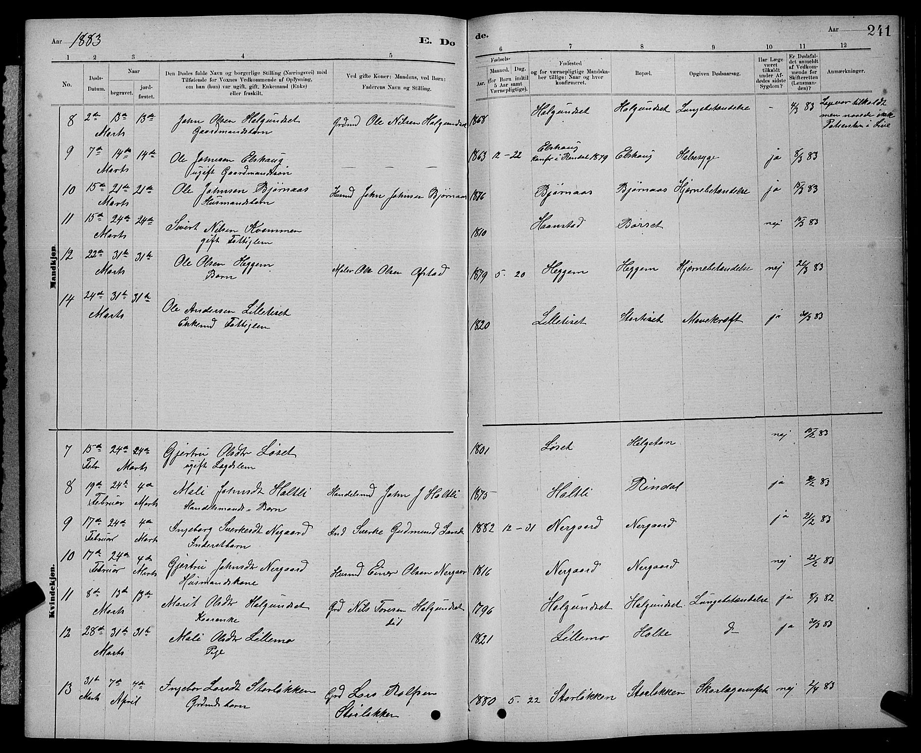 Ministerialprotokoller, klokkerbøker og fødselsregistre - Møre og Romsdal, AV/SAT-A-1454/598/L1077: Parish register (copy) no. 598C02, 1879-1891, p. 241