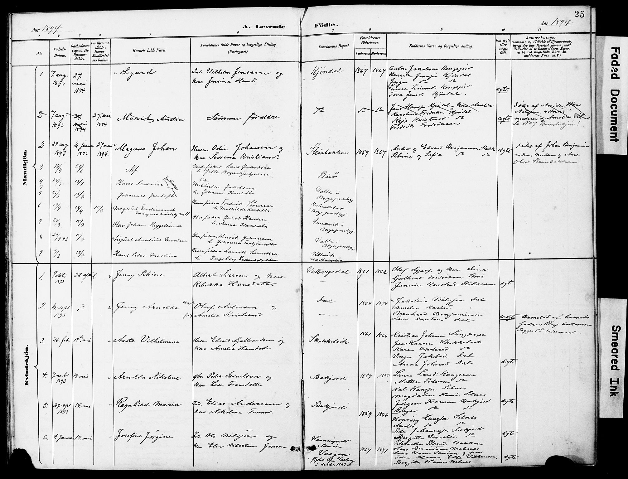 Ministerialprotokoller, klokkerbøker og fødselsregistre - Nordland, AV/SAT-A-1459/884/L1197: Parish register (copy) no. 884C03, 1888-1926, p. 25