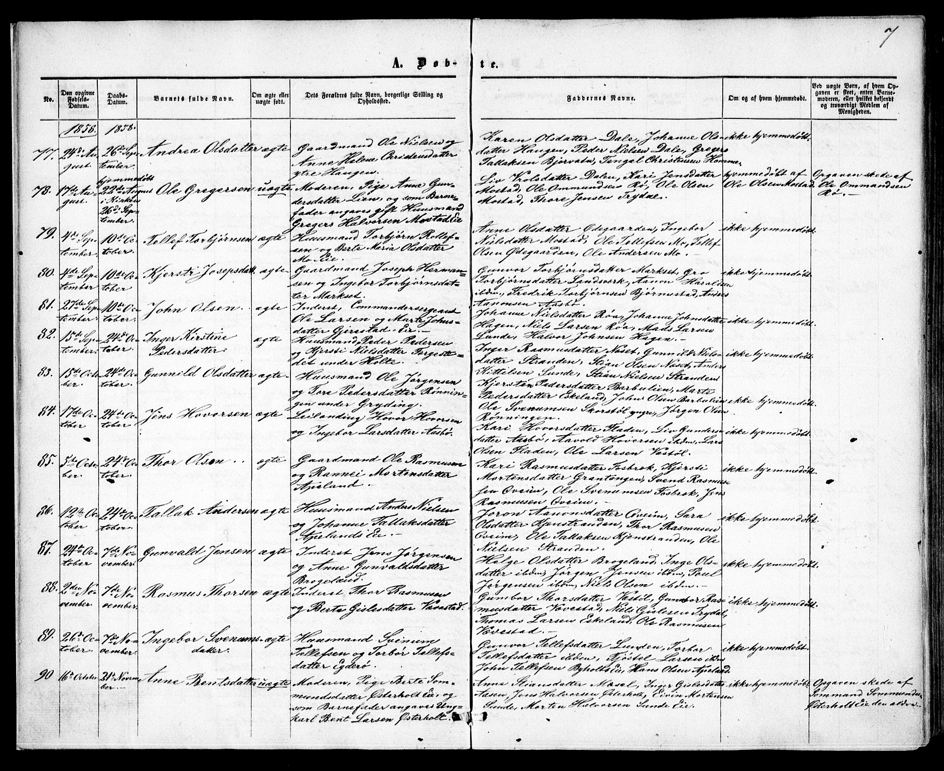 Gjerstad sokneprestkontor, AV/SAK-1111-0014/F/Fa/Faa/L0007: Parish register (official) no. A 7, 1858-1875, p. 7