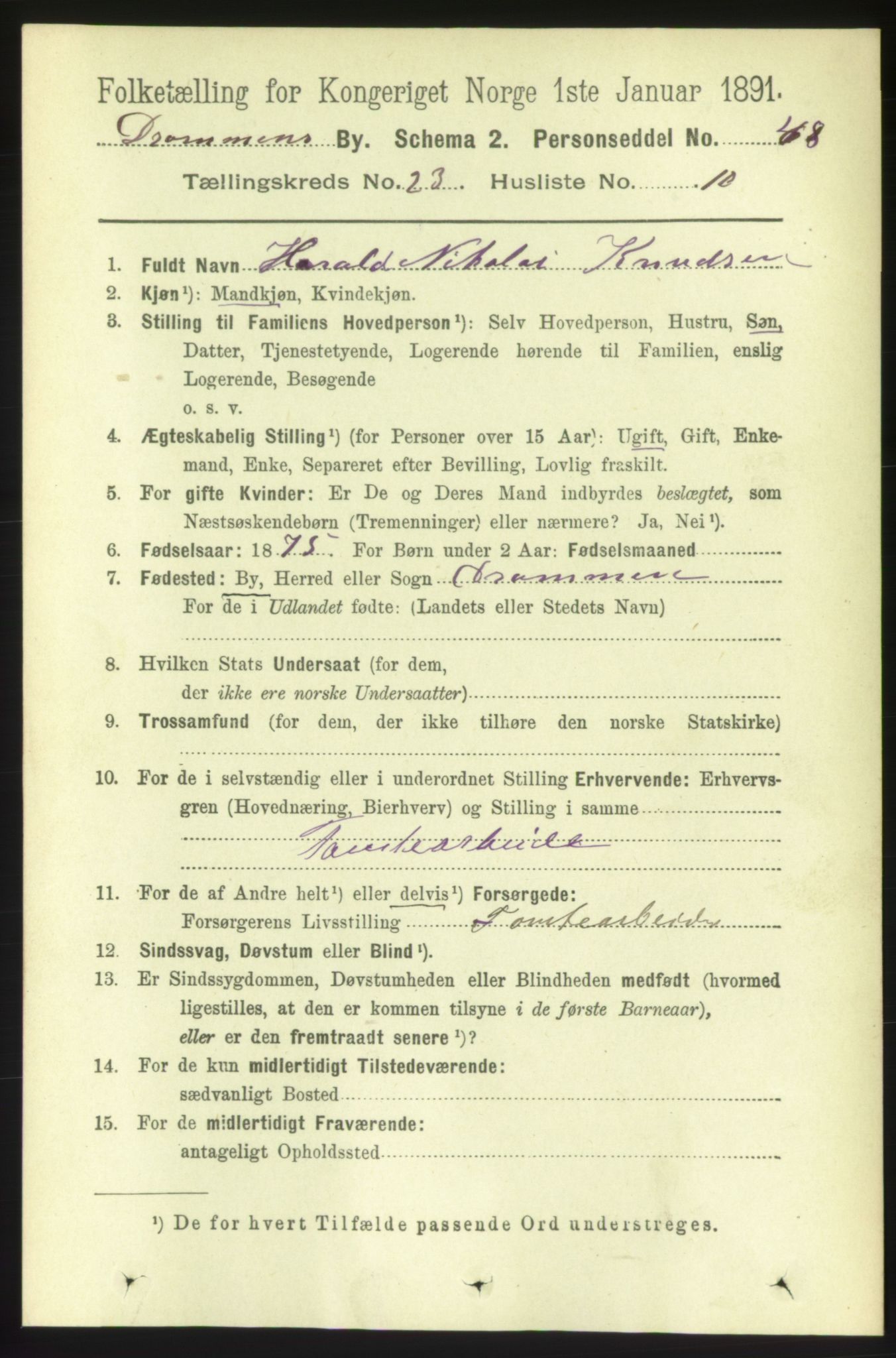 RA, 1891 census for 0602 Drammen, 1891, p. 14273