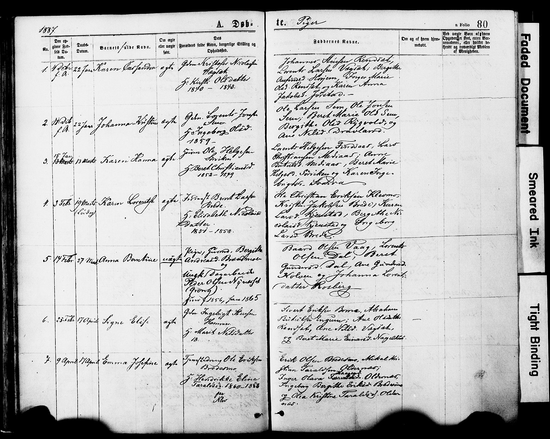 Ministerialprotokoller, klokkerbøker og fødselsregistre - Nord-Trøndelag, SAT/A-1458/749/L0473: Parish register (official) no. 749A07, 1873-1887, p. 80