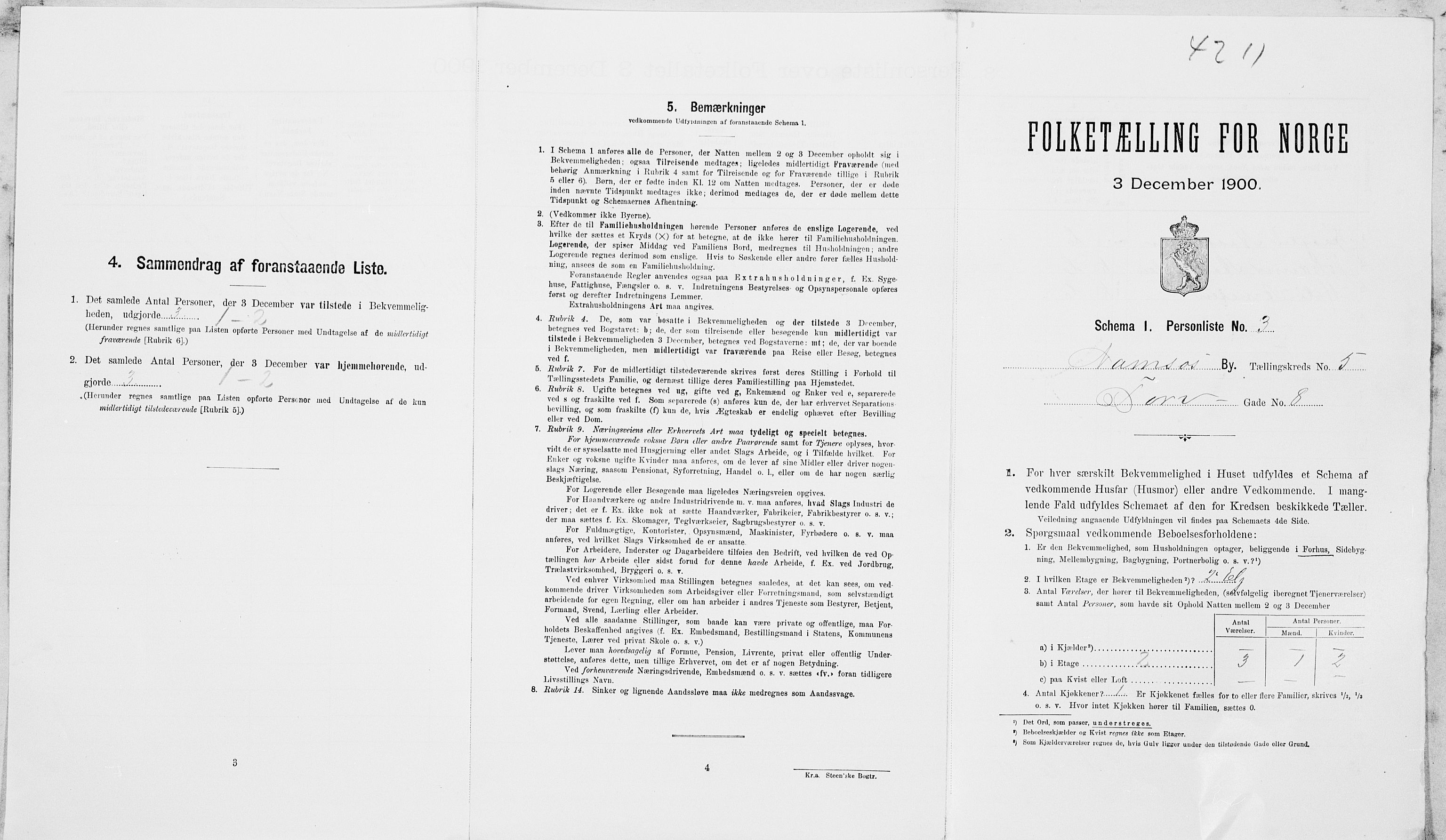 SAT, 1900 census for Namsos, 1900, p. 917