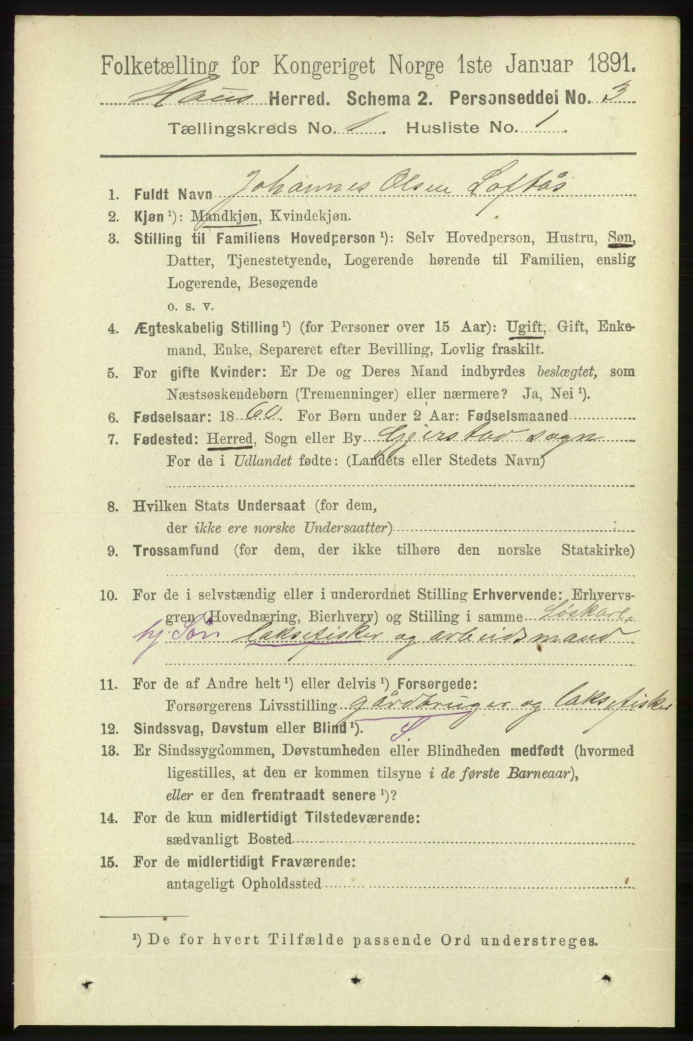 RA, 1891 census for 1250 Haus, 1891, p. 101