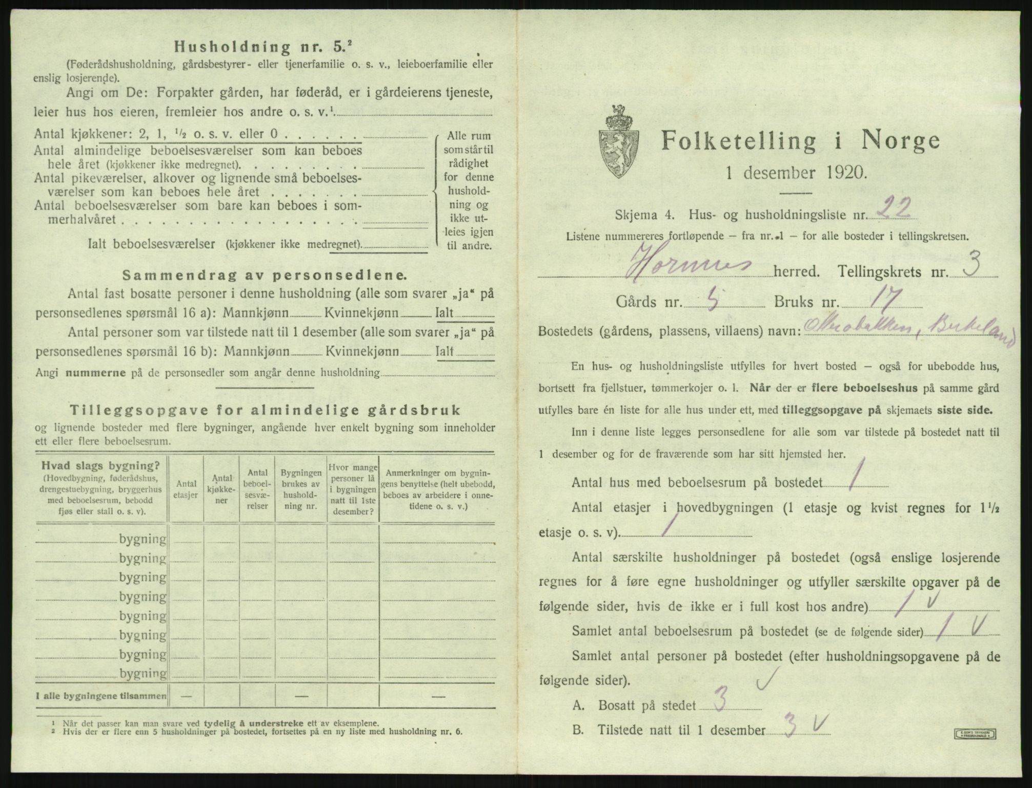 SAK, 1920 census for Hornnes, 1920, p. 159