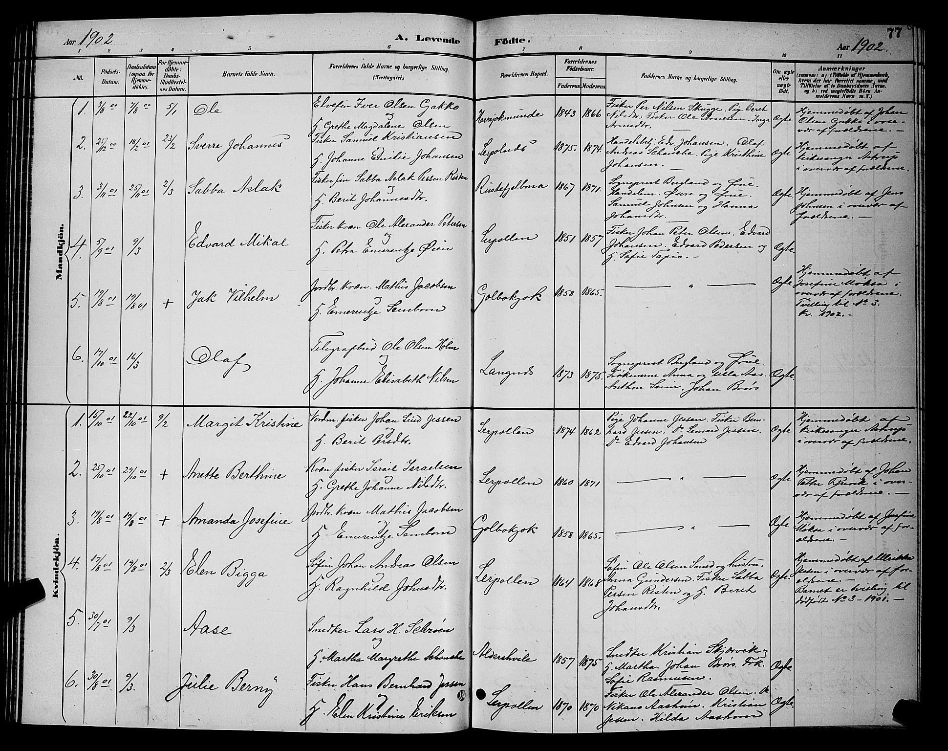 Tana sokneprestkontor, SATØ/S-1334/H/Hb/L0004klokker: Parish register (copy) no. 4, 1890-1903, p. 77