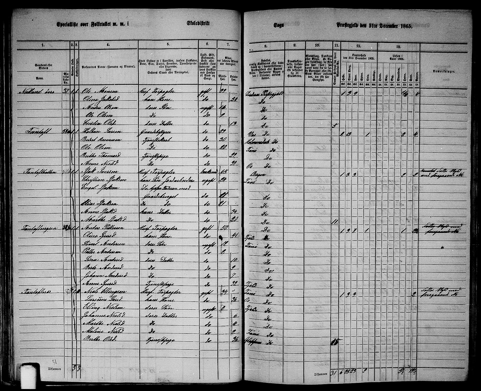 RA, 1865 census for Fana, 1865, p. 33