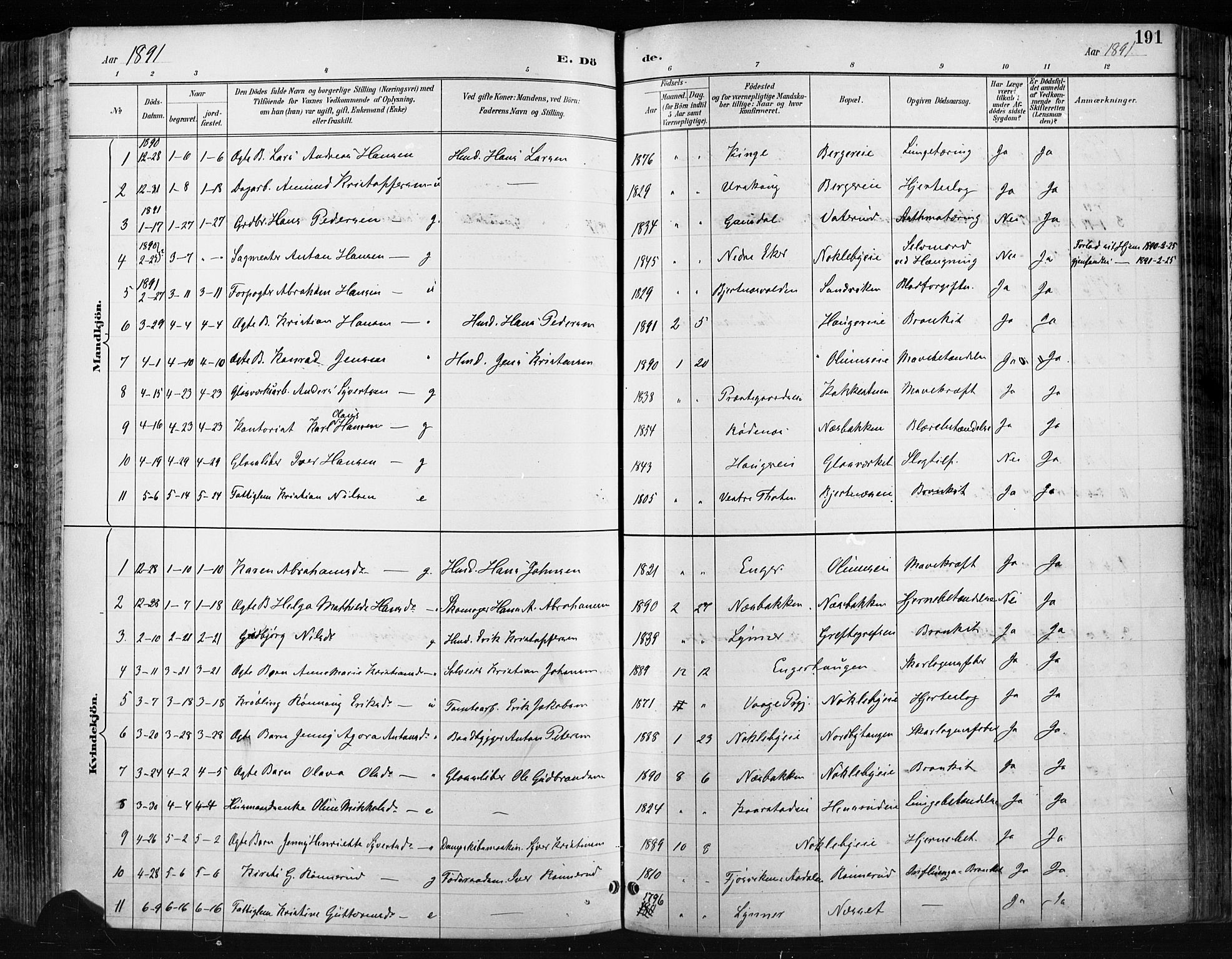 Jevnaker prestekontor, SAH/PREST-116/H/Ha/Haa/L0009: Parish register (official) no. 9, 1891-1901, p. 191