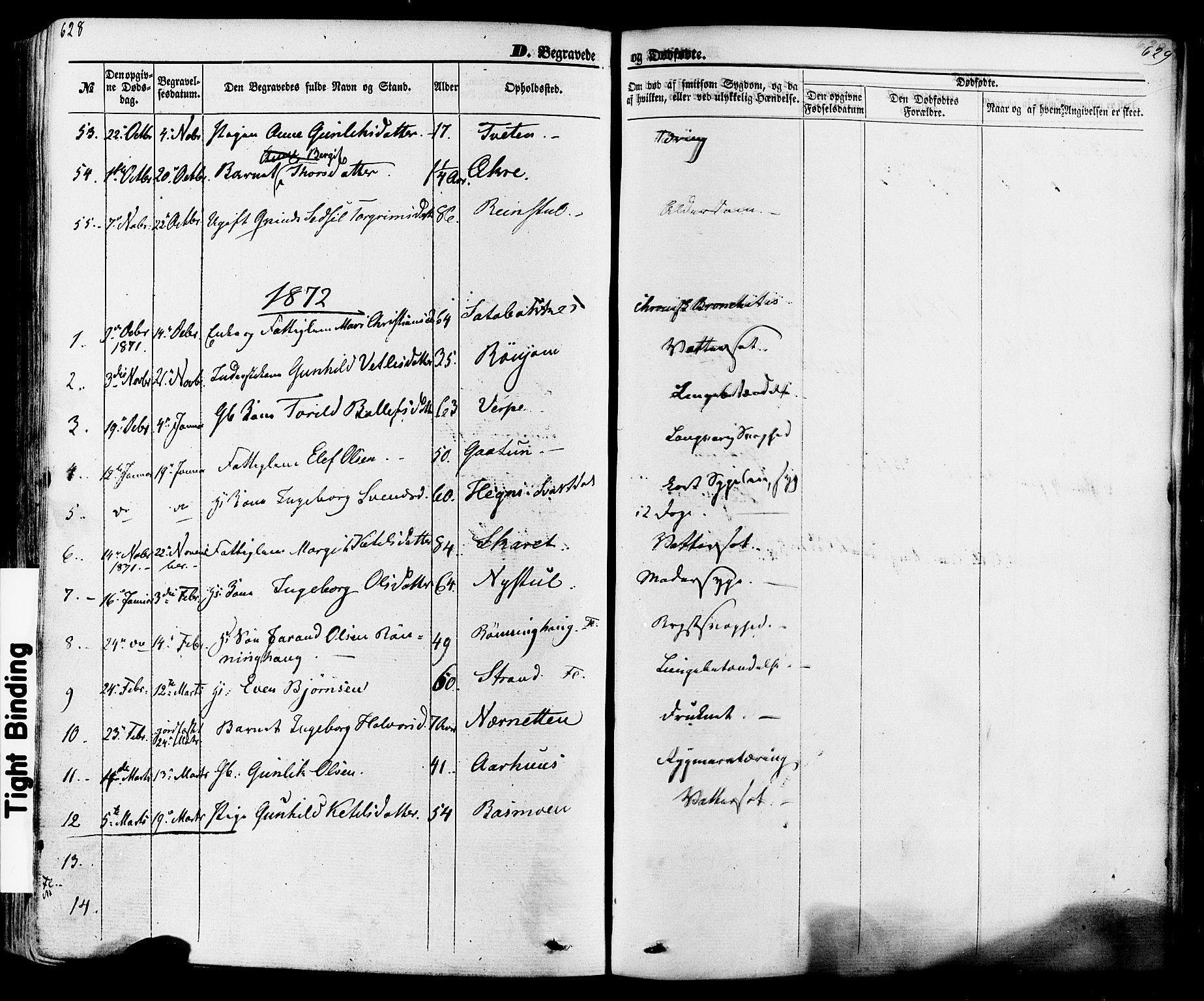 Seljord kirkebøker, SAKO/A-20/F/Fa/L0013: Parish register (official) no. I 13, 1866-1876, p. 628-629