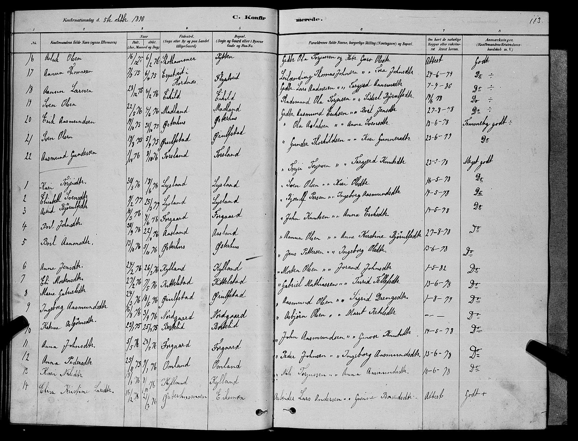 Åseral sokneprestkontor, SAK/1111-0051/F/Fb/L0002: Parish register (copy) no. B 2, 1878-1899, p. 113