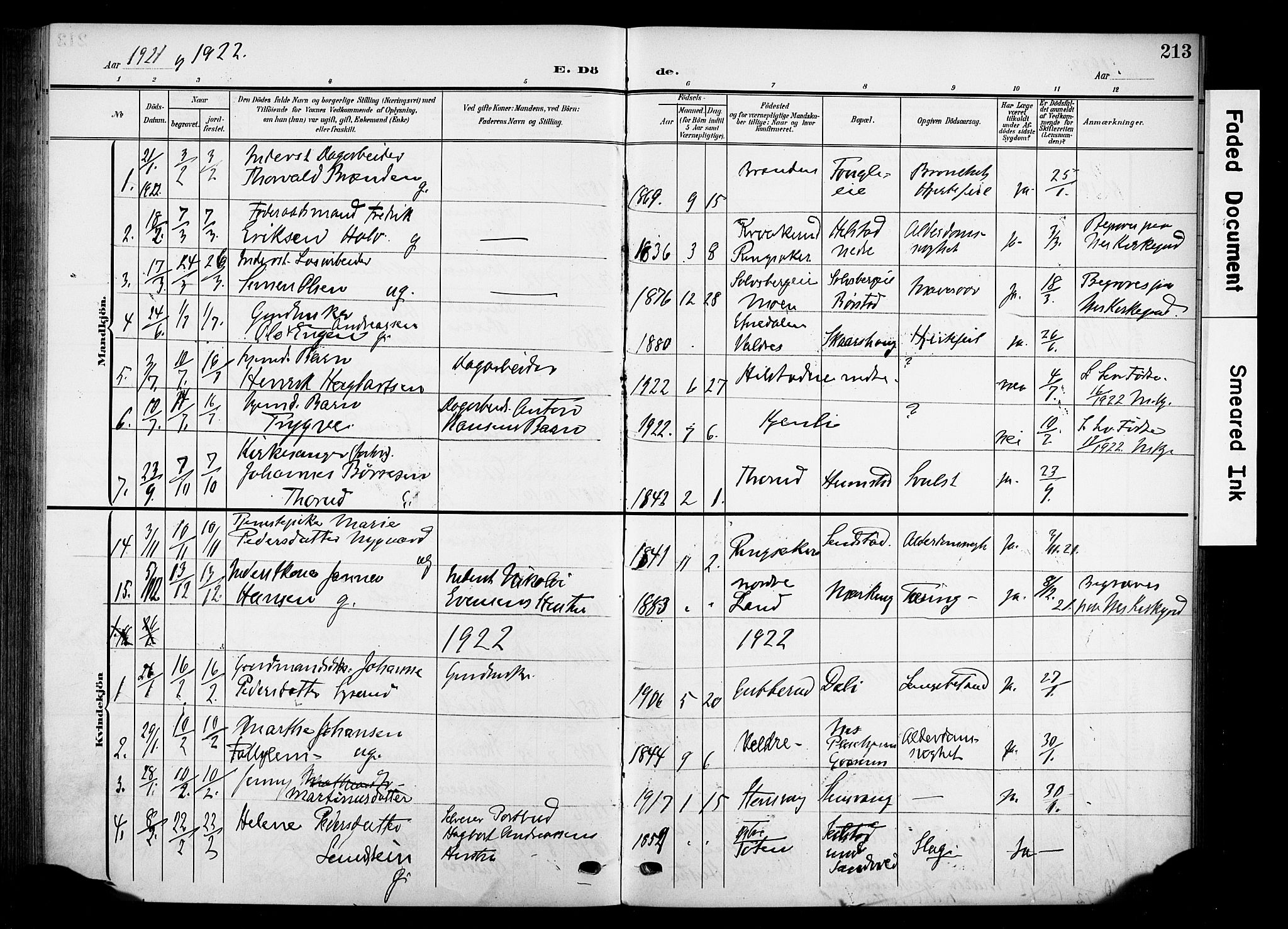Nes prestekontor, Hedmark, SAH/PREST-020/K/Ka/L0013: Parish register (official) no. 13, 1906-1924, p. 213