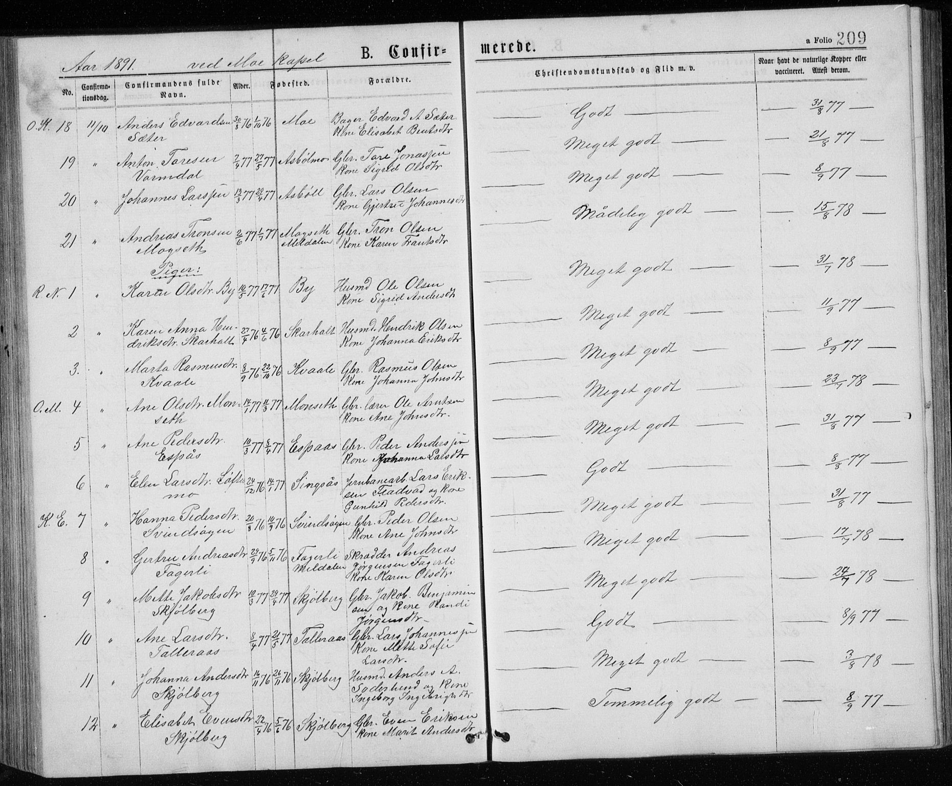 Ministerialprotokoller, klokkerbøker og fødselsregistre - Sør-Trøndelag, SAT/A-1456/671/L0843: Parish register (copy) no. 671C02, 1873-1892, p. 209