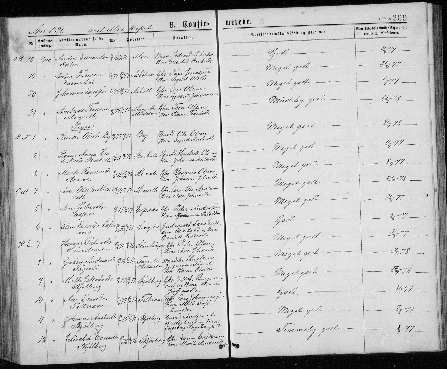 Ministerialprotokoller, klokkerbøker og fødselsregistre - Sør-Trøndelag, AV/SAT-A-1456/671/L0843: Parish register (copy) no. 671C02, 1873-1892, p. 209