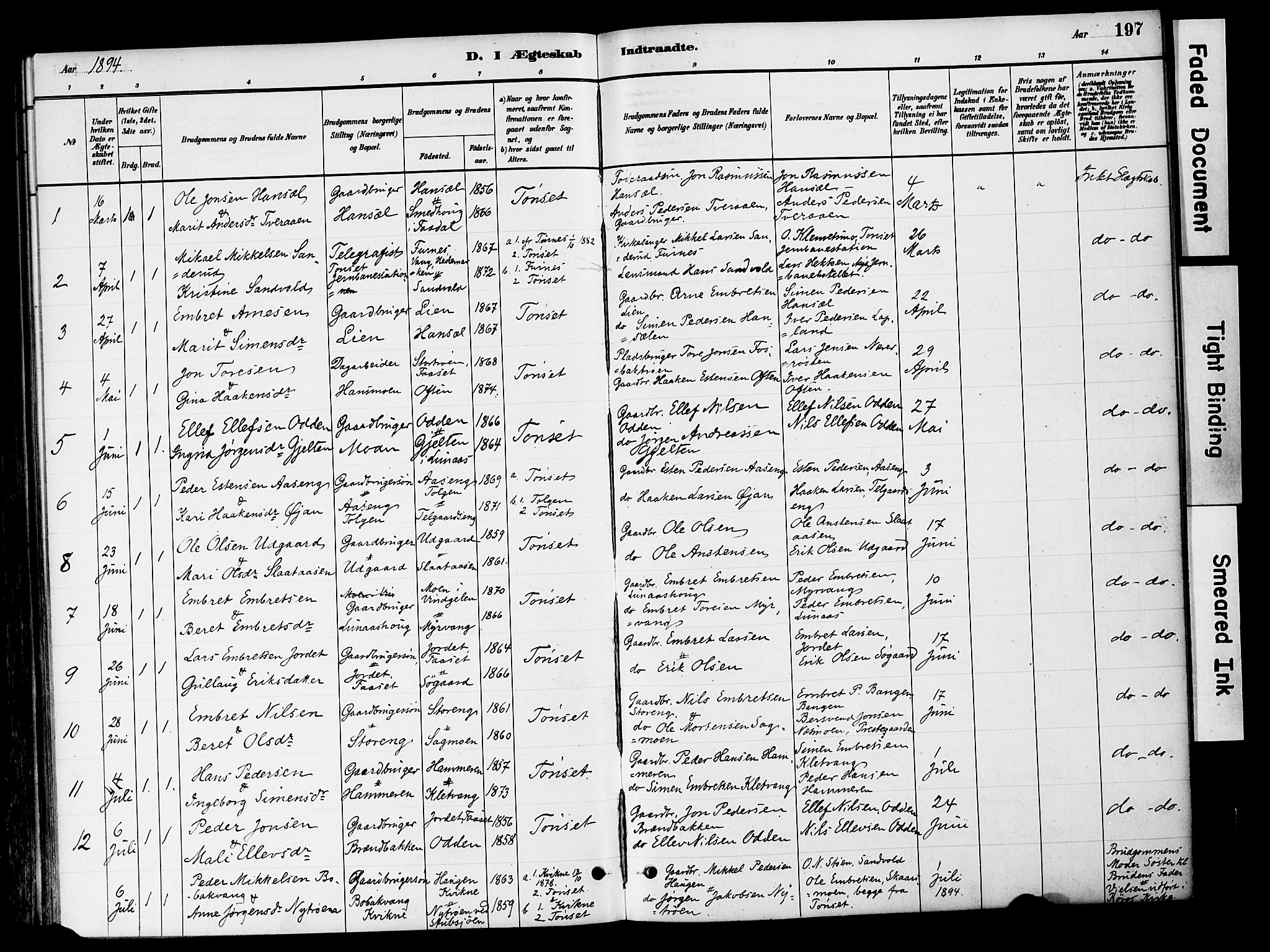 Tynset prestekontor, SAH/PREST-058/H/Ha/Haa/L0022: Parish register (official) no. 22, 1880-1899, p. 197
