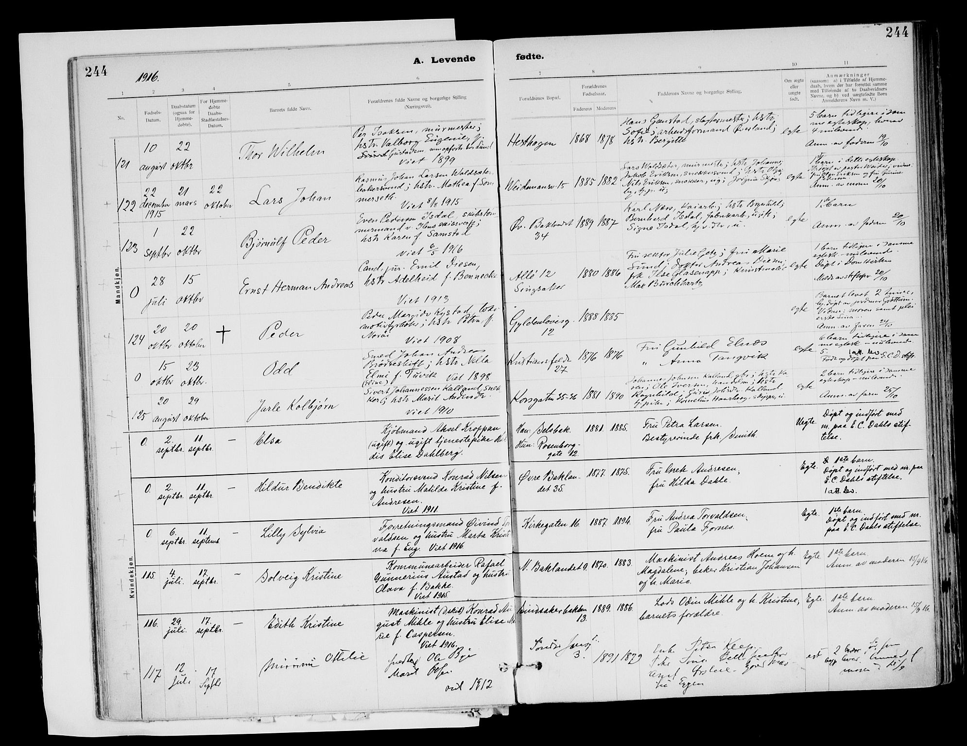 Ministerialprotokoller, klokkerbøker og fødselsregistre - Sør-Trøndelag, SAT/A-1456/604/L0203: Parish register (official) no. 604A23, 1908-1916, p. 244