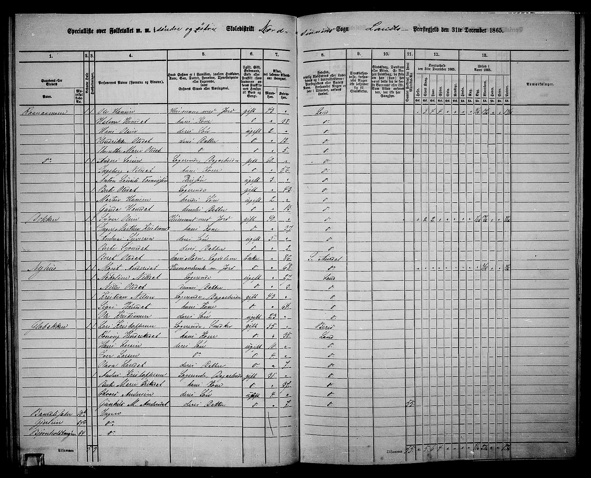 RA, 1865 census for Land, 1865, p. 66