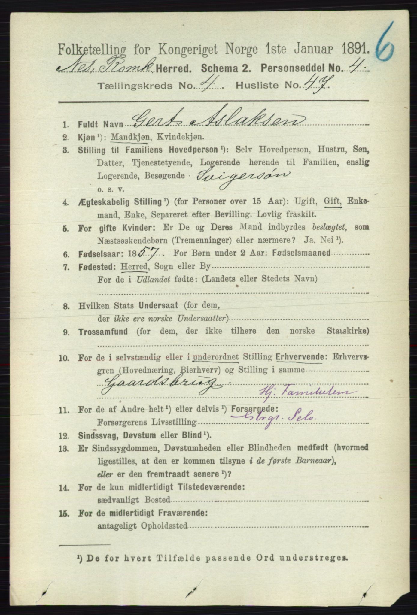 RA, 1891 census for 0236 Nes, 1891, p. 2527