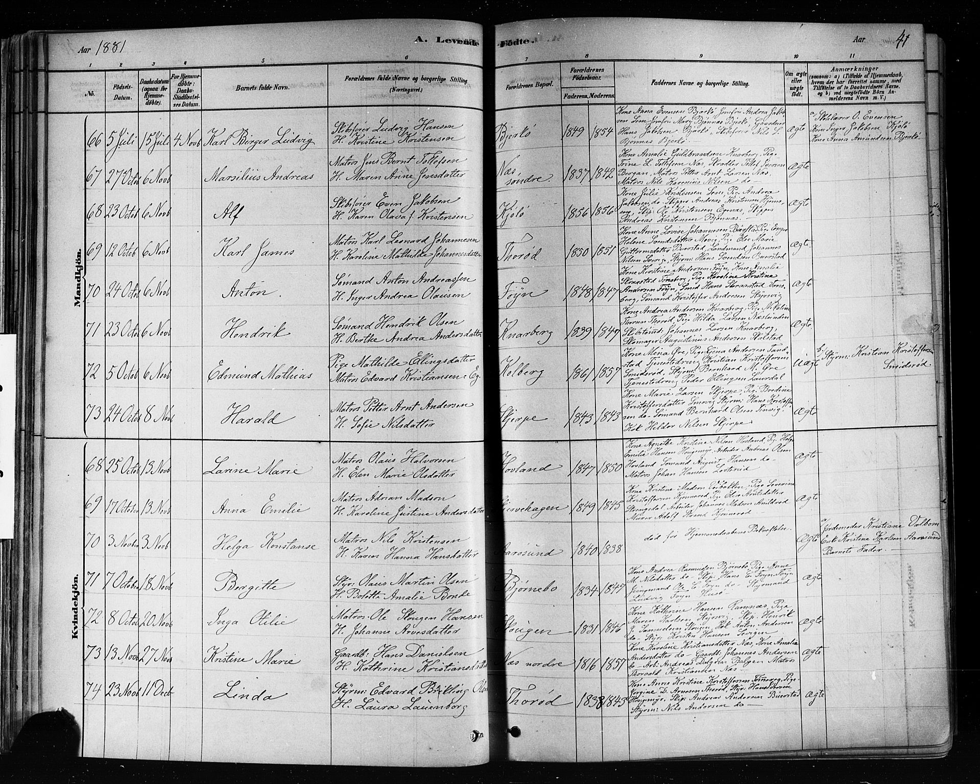 Nøtterøy kirkebøker, AV/SAKO-A-354/F/Fa/L0008: Parish register (official) no. I 8, 1878-1893, p. 41