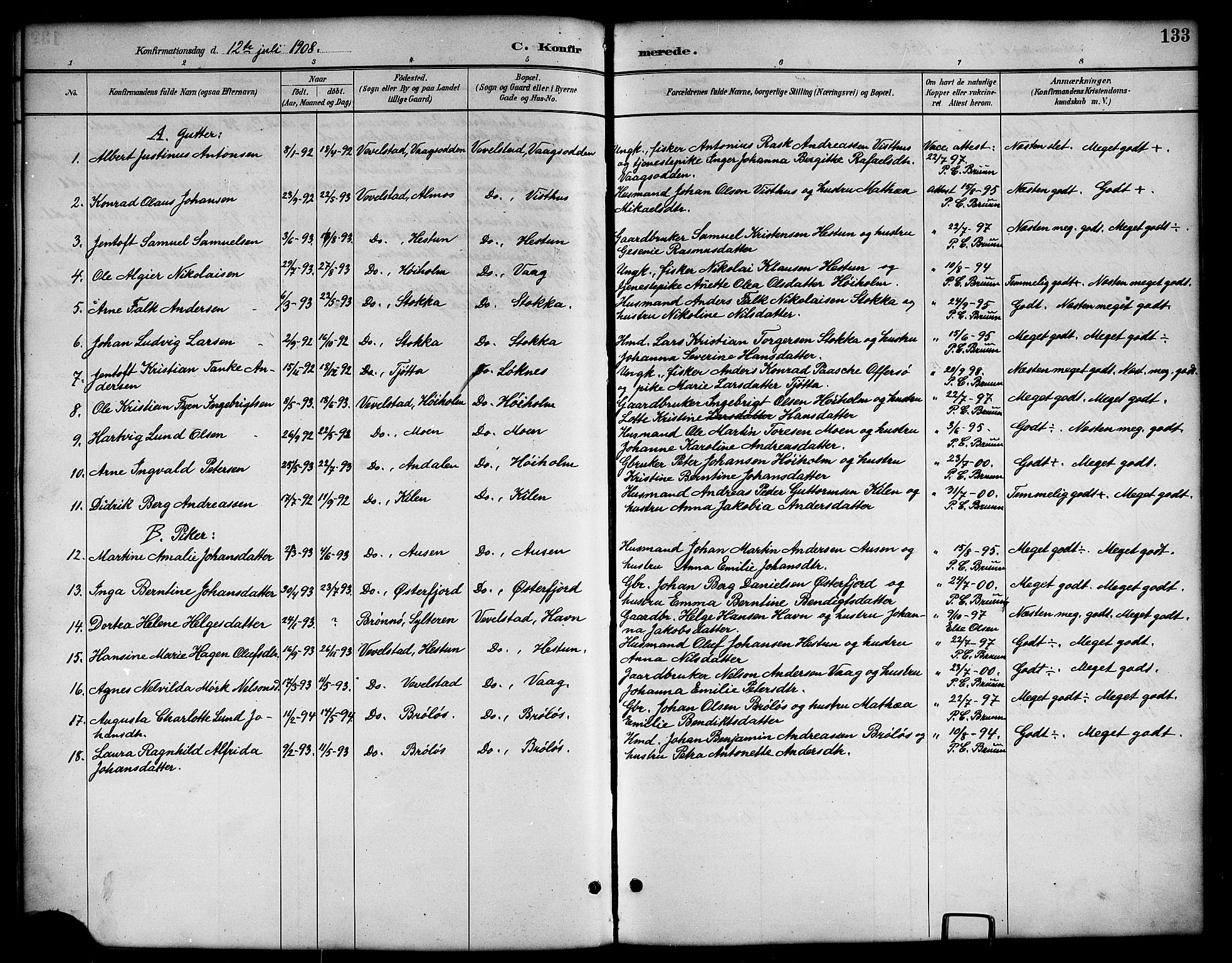 Ministerialprotokoller, klokkerbøker og fødselsregistre - Nordland, AV/SAT-A-1459/819/L0277: Parish register (copy) no. 819C03, 1888-1917, p. 133