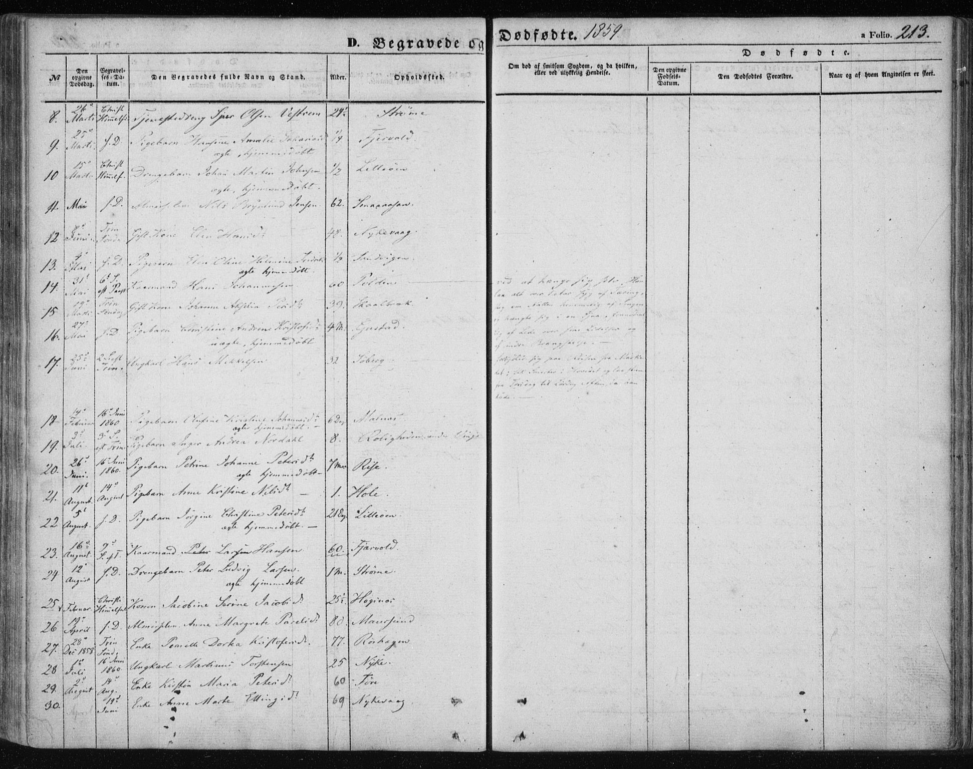 Ministerialprotokoller, klokkerbøker og fødselsregistre - Nordland, AV/SAT-A-1459/891/L1300: Parish register (official) no. 891A05, 1856-1870, p. 213