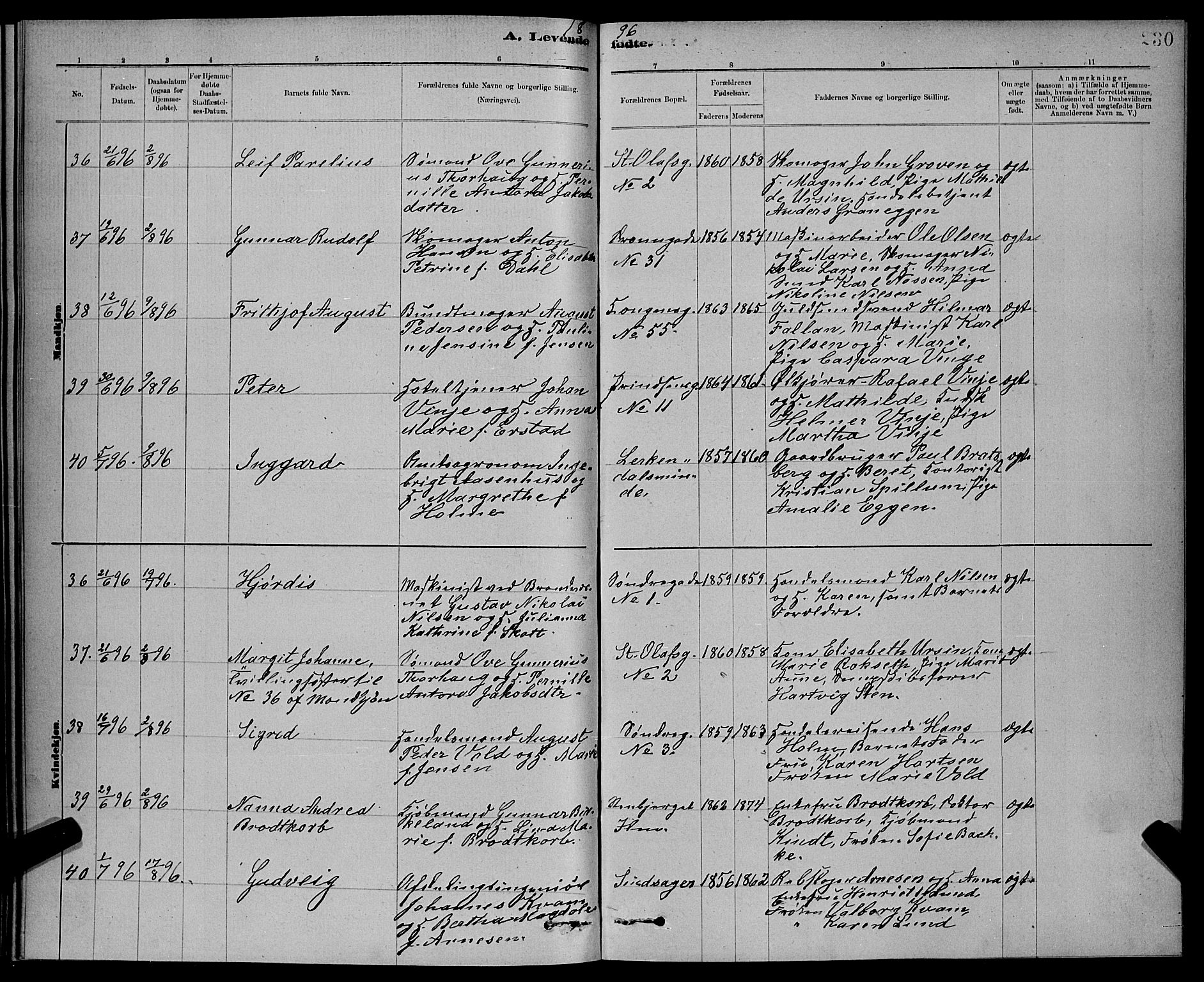 Ministerialprotokoller, klokkerbøker og fødselsregistre - Sør-Trøndelag, AV/SAT-A-1456/601/L0092: Parish register (copy) no. 601C10, 1884-1897, p. 230