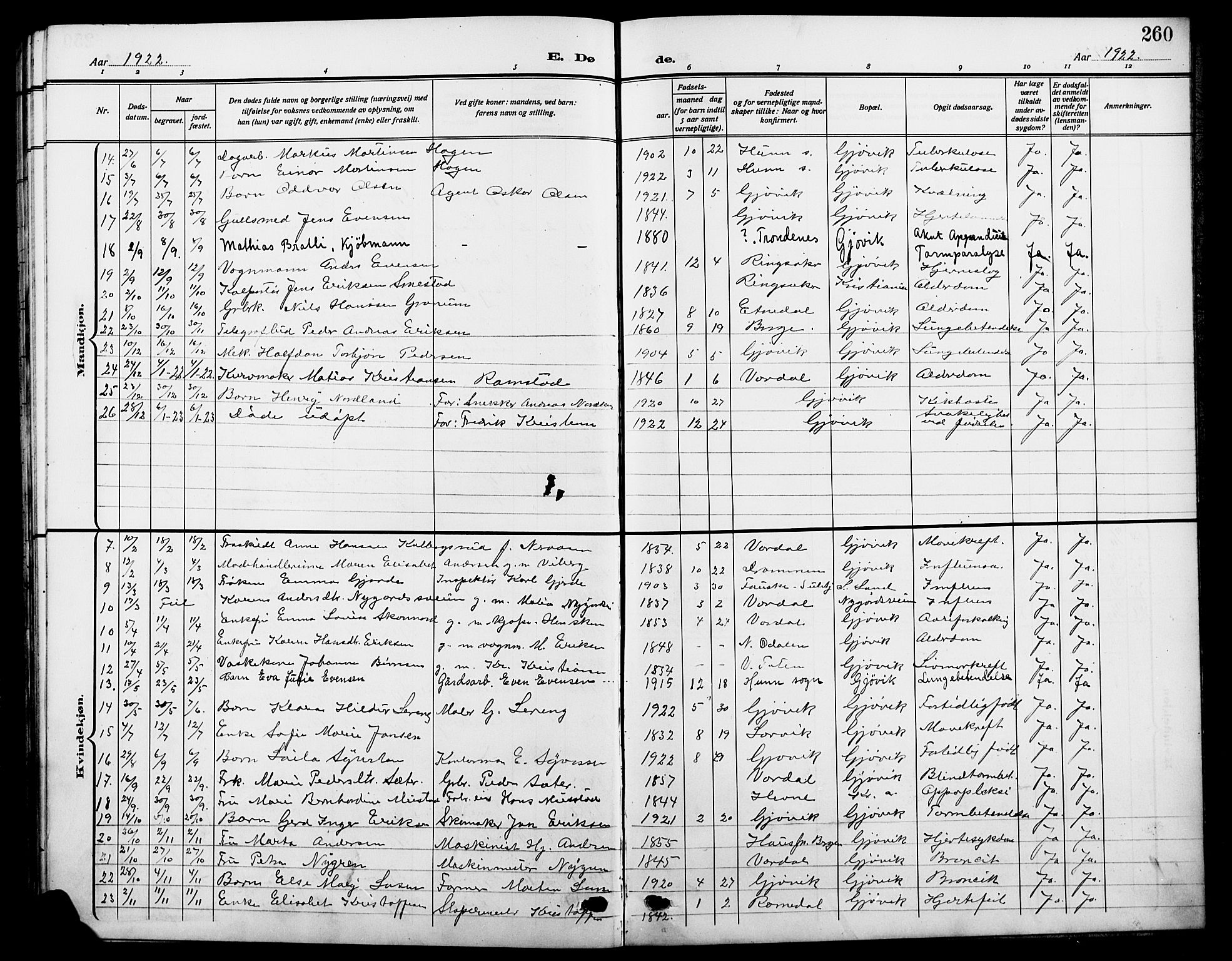 Vardal prestekontor, SAH/PREST-100/H/Ha/Hab/L0014: Parish register (copy) no. 14, 1911-1922, p. 260
