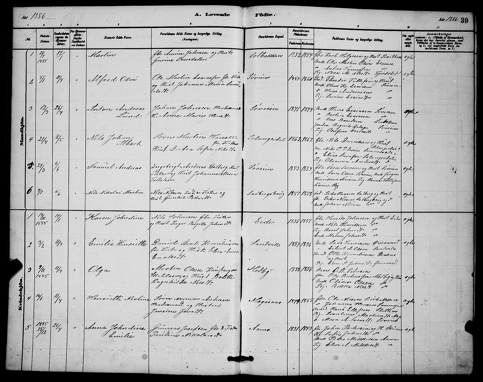 Ibestad sokneprestembete, AV/SATØ-S-0077/H/Ha/Hab/L0014klokker: Parish register (copy) no. 14, 1880-1887, p. 39