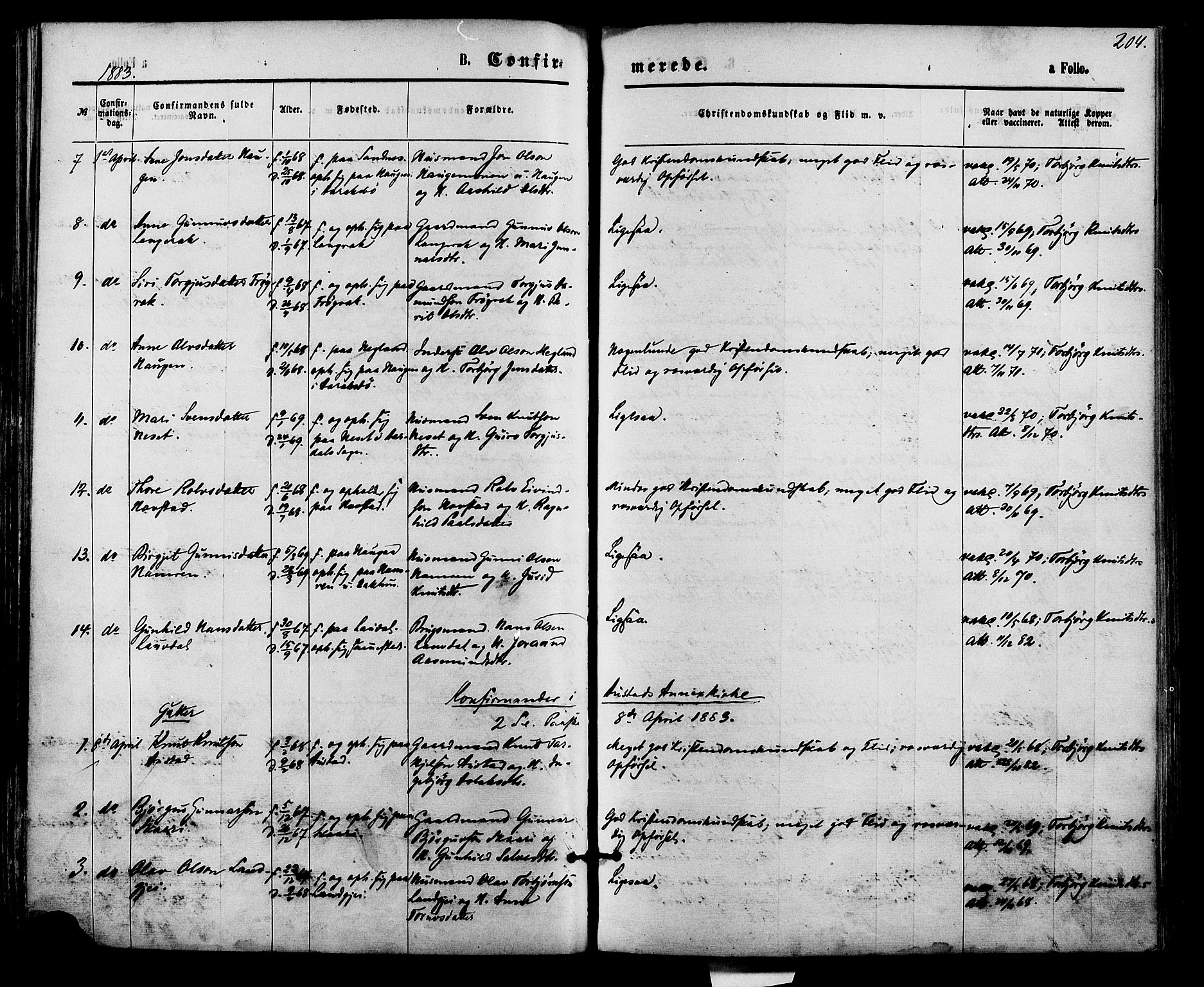 Bygland sokneprestkontor, AV/SAK-1111-0006/F/Fa/Fab/L0006: Parish register (official) no. A 6, 1873-1884, p. 204