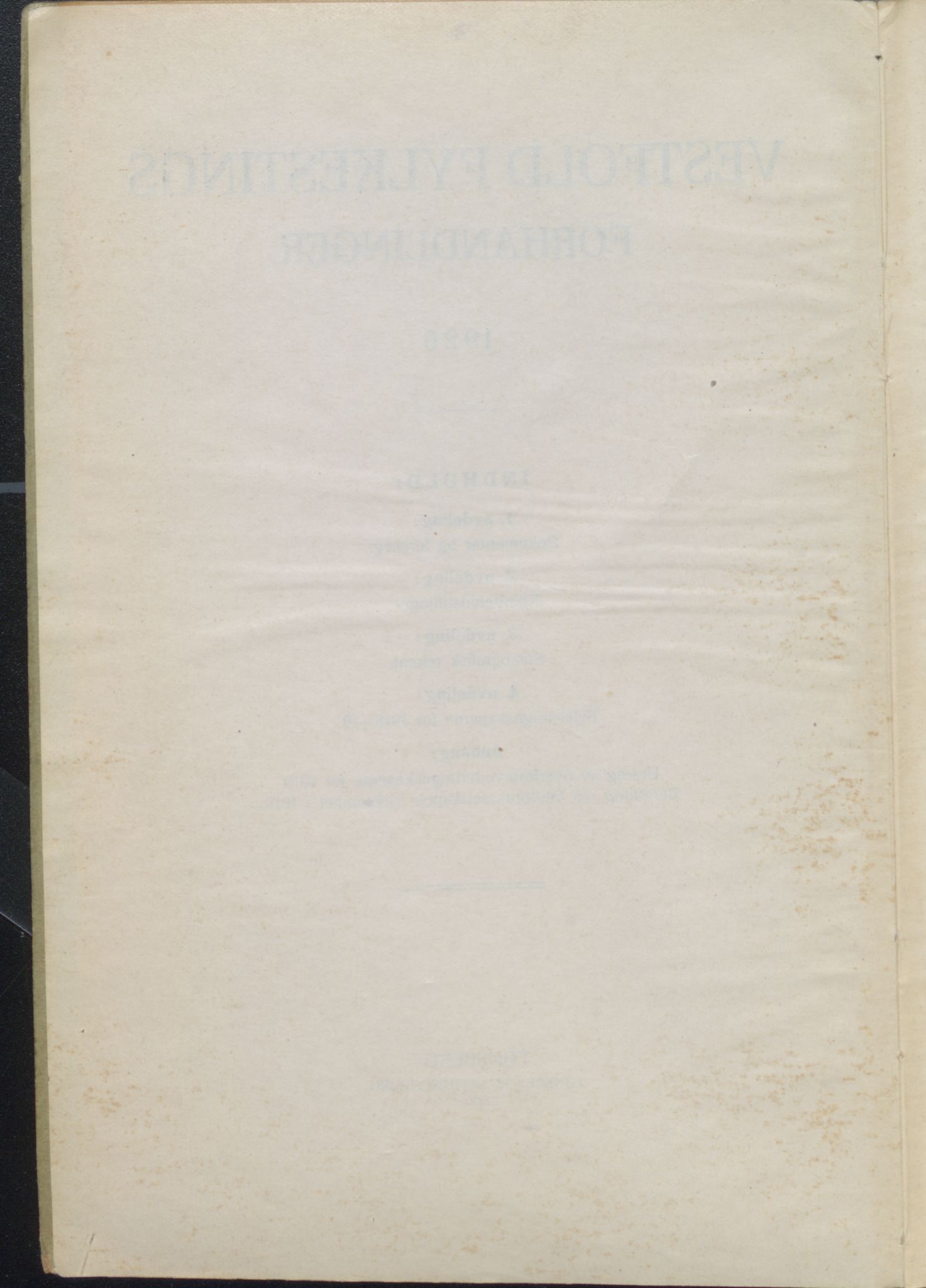 Vestfold fylkeskommune. Fylkestinget, VEMU/A-1315/A/Ab/Abb/L0069: Fylkestingsforhandlinger, 1920